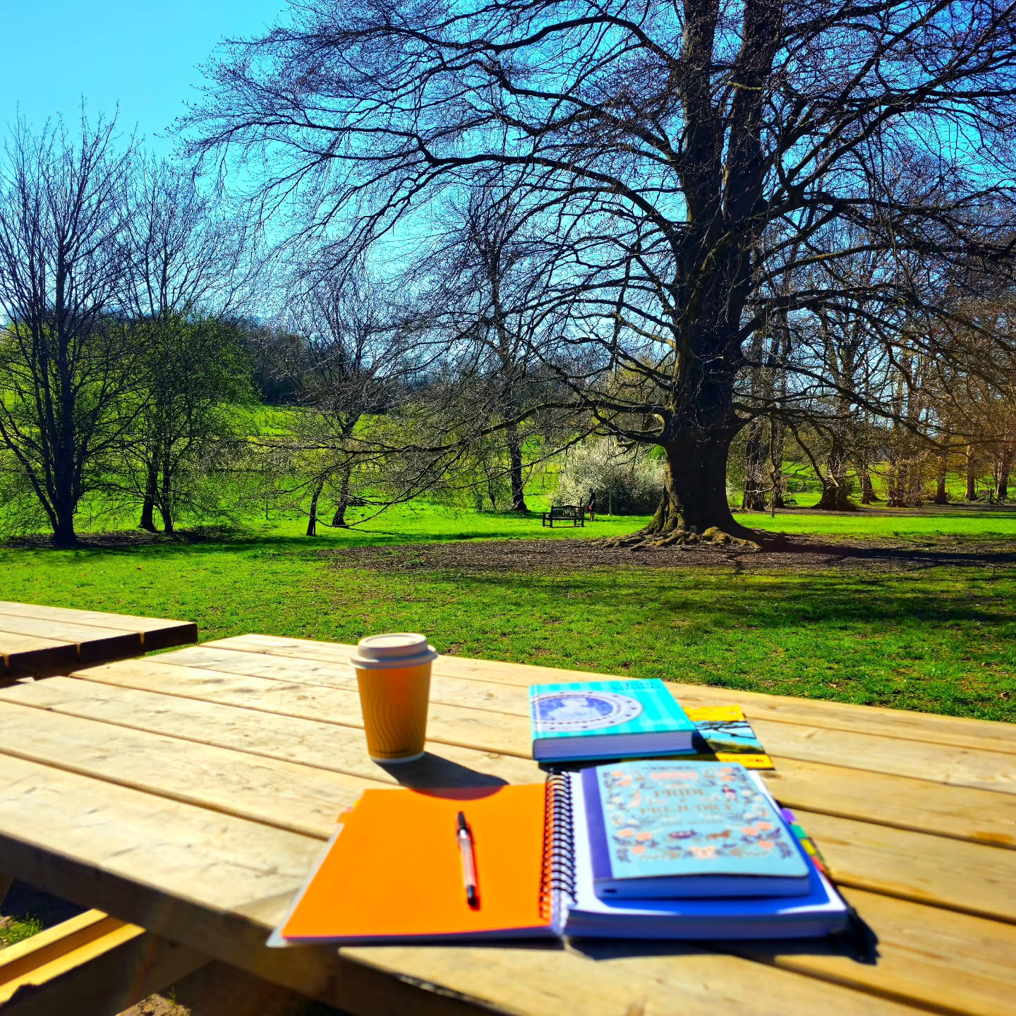 Volete sapere dove sono?
In uno dei luoghi che amo di più: il parco di Chawton, il villaggio dell'Hampshire in cui vivo.
Lavorare in questa oasi di pace e bellezza non ha eguali. L'ufficio migliore che potessi trovare! 😂
E voi cosa fate oggi?
#passionecampagnainglese #sunnyday #lovenature #goodvibes #villagelife