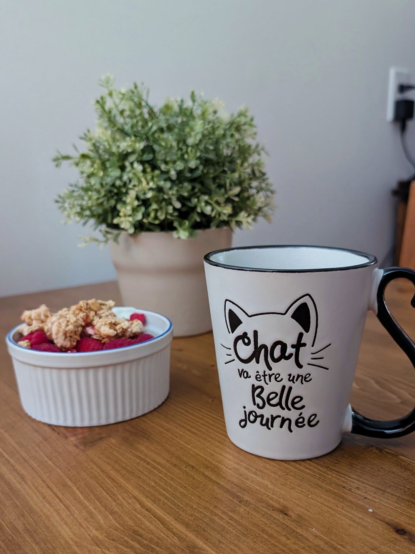 La plus adorable des tasses dans mon AirBnB ce matin.
Lévis : chat va être une belle journée !
Salon du livre de 10h à 16h, aujourd'hui et demain aux Glaces Honco