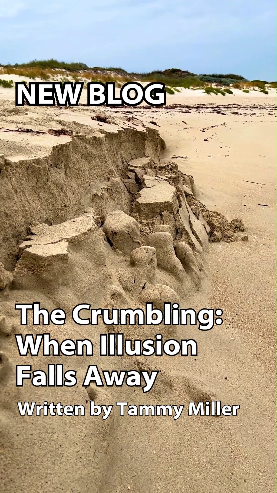 New Blog - The Crumbling: When Illusion Falls Away
There may come a moment in life when everything feels like it’s collapsing around you. You cling tightly to the remnants of who you once were - your identity, your relationships, your job, your routines. You grasp for anything that feels familiar, anything that once made sense.
It's the TOWER MOMENT. The CRUMBLING.
To read more: go to naturalinnerhealth.com BLOGS.
With love & blessings
Tammy Miller
#naturalinnerhealth #tammymiller #awakening #towermoment #illusion #liftingtheveil #selfhealing #innerwork #emotionalhealing #innerwounds #innerchild #envy #personaltransformation #spiritualawakening #innerhealing #peace #happiness #selflove