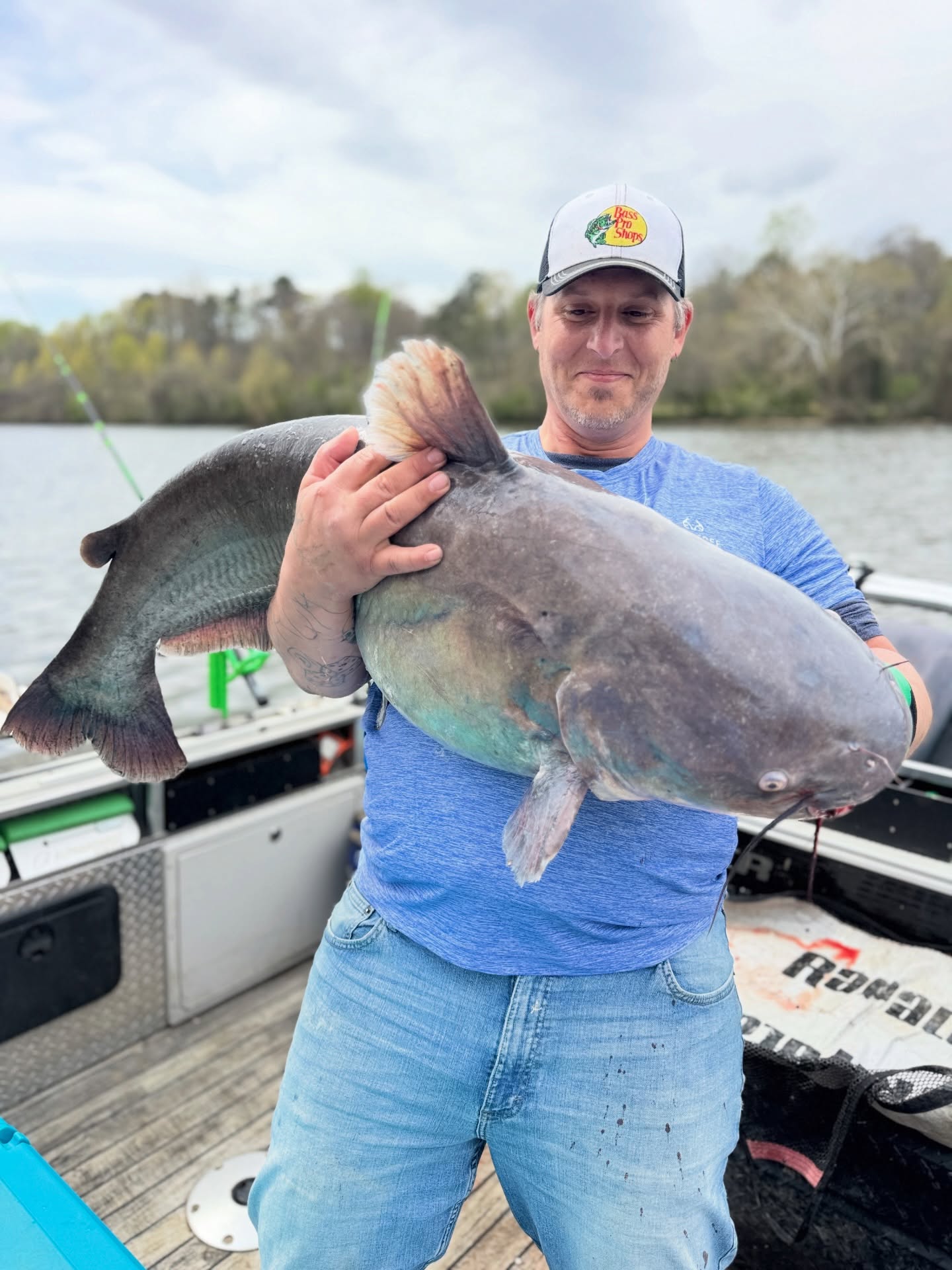 TRIPLE TROPHY DAY! 🏆🏆🏆 Huge thanks to Josh and Elizabeth for joining us for an epic marathon session on the James. It’s not every day you put three wall-hangers in the boat!
The Trophy Room:
🐟 55lb Blue Catfish
🐟 30.5lb Flathead Catfish
🐟 28.9lb Blue Catfish
Total Count: 12 Hickory Shad, 5 Flatheads, ~15 Blue Cats, and 2 Bowfin. From “triple-ups” to mudflat monsters, these two put in the work. Richmond fishing is world-class right now! 🤘
Tap the link in bio to get on the boat! 🛥️
#GooberTime #TrophyHunter #JamesRiver