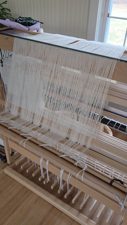 Spread in the raddle and ready to be beamed. 560 ends !
#sunriselodgefiberstudio #weaversofinstagram #weaving #handmade #inprogress