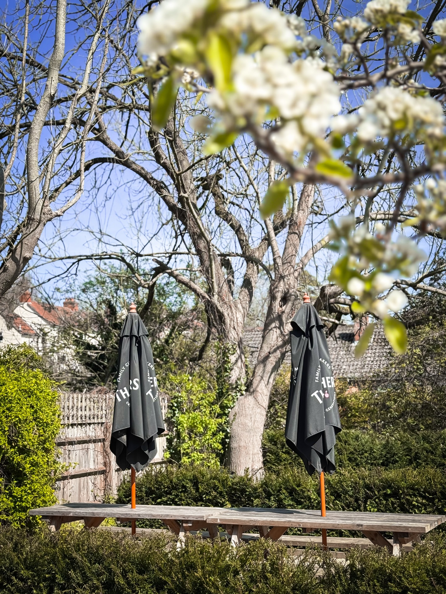 The sun’s out, so we’ve opened up a little earlier for you to make the most of it in our garden. Food from 5pm. See you at The Queens 🌞🍻