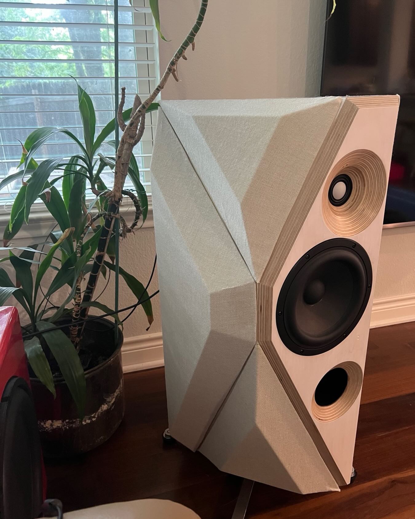 Flashback to a fully acoustically dressed Waterloo signature