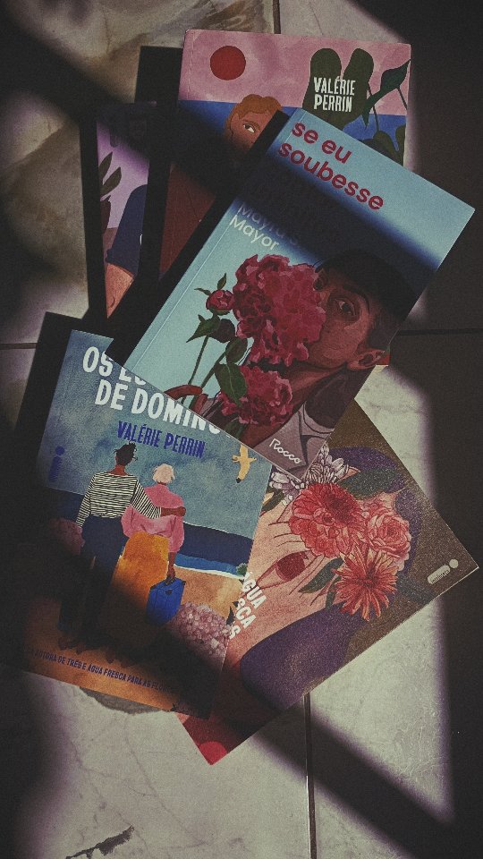 Amiga, vou te contar uma verdade sem julgamento: eu compro livro pela capa, sim. E às vezes nem tento me defender 😂
Porque tem capa que não é só bonita é convite. É aquele primeiro encontro silencioso entre a gente e a história. E isso não é de hoje, com o tempo, as capas deixaram de ser só proteção e passaram a ser parte da experiência de leitura.
E quando a gente começa a olhar com mais carinho pra isso, percebe: por trás de cada capa que encanta tem um artista criando tudo aquilo.
Eu, por exemplo, sou completamente encantada pelo trabalho da Brunna Mancuso. É delicado, marcante, cheio de identidade. E ela ainda tem o Print Club Leitoras, que é basicamente um mimo mensal pra quem ama livros e arte (e quem não ama, né?).
No fim, talvez julgar um livro pela capa não seja um erro. Talvez seja só mais uma forma de se apaixonar pela leitura ❤️
Agora me conta: você também cai na tentação da capa bonita?
E me indica artistas que você ama, quero muito conhecer novos trabalhos por aqui ✨
#ensaiosdanega #capadelivro #leitoras #designeditorial #livroseleitura