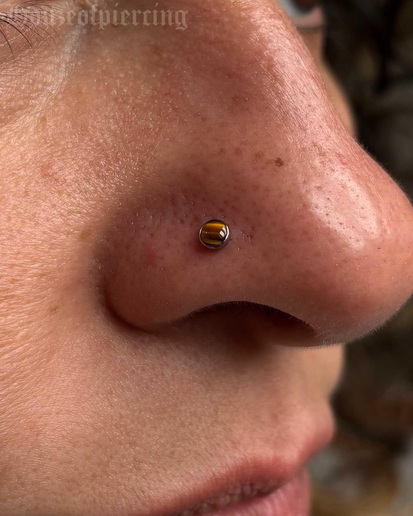 Paired nostril piercings are some of my favourites to perform right now!! I had the honour of doing this set with 3mm Tiger Eye cabochons from @junipurrjewelry for the absolute ray of sunshine that is @carolis_tattoo while she was guesting with us this week. Thank you so much for the trust!! Come back to see us soon, we love you 🫶🫶
prepped with @purklenz
pierced with @probodyart
jewellery from @junipurrjewelry
cooled with @neilmedpiercingaftercare
supplies from @probodyart @aces_supply and @holymountainsupplies
🖤 @venusinfurs.ie 14 Exchequer St, Dublin 2
⛓️ Tuesday to Saturday, booking link in bio
#piercing #piercer #nostrilpiercıng #nostril #verticallabret