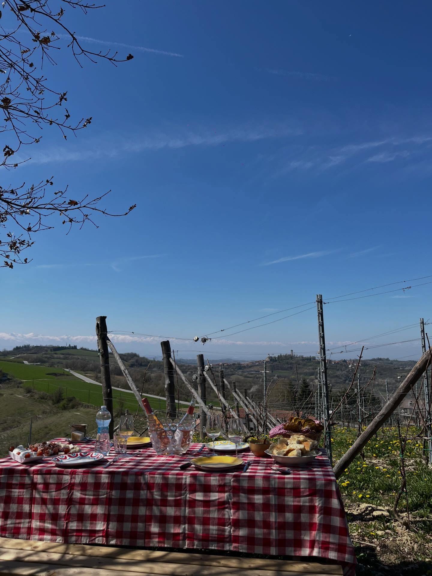 🌸 Pasqua speciale a Podere Martina 🌸
Una splendida giornata di sole ad accompagnare il nostro pranzo di Pasqua qui a Murazzano, nel cuore dell’Alta Langa ☀️
Abbiamo gustato tanti buoni prodotti locali, celebrando i sapori autentici del territorio.
Grande protagonista della giornata: la nostra nuova entrata ✨ Sofia 21 ✨
Un vino rosato brut di nostra produzione: fresco, leggero e perfetto per ogni momento — dall’aperitivo alla cena, fino al dopo cena 🥂
Vi aspettiamo a Podere Martina per un pranzo o un aperitivo… e per provarlo insieme! 💫
—-
🌸 A special Easter at Podere Martina 🌸
A beautiful sunny day framed our Easter lunch here in Murazzano, in the heart of Alta Langa ☀️
We enjoyed many delicious local products, celebrating the authentic flavors of our land.
The star of the day: our new entry ✨ Sofia 21 ✨
A brut rosé wine of our own production — fresh, light, and perfect for any occasion, from aperitivo to dinner and even after 🥂
Come visit us at Podere Martina for lunch or an aperitif… and taste it with us! 💫
#PodereMartina #AltaLanga #Murazzano #Pasqua VinoRosato