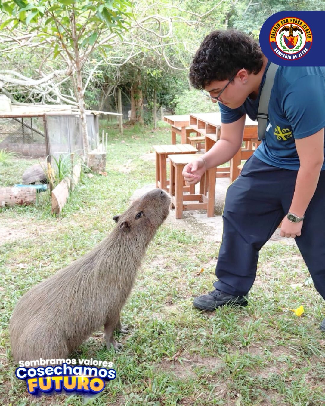 🌿 Aprender desde la naturaleza: una experiencia que transforma 💚
En el marco del Proyecto Ambiental Escolar (PRAE), nuestros estudiantes participaron en una salida pedagógica a la Reserva Natural Cabildo Verde, en el municipio de Sabana de Torres, un escenario clave para el aprendizaje en contacto con la naturaleza. 🌳🐾
El objetivo de esta salida pedagógica fue fortalecer el compromiso con el cuidado de la casa común y comprender la interdependencia entre los seres humanos y la creación, promoviendo una conciencia responsable frente al entorno, mediante 🌎✨:
🔍 Observación directa de los ecosistemas.
🦜 Reconocimiento de fauna silvestre, especialmente, especies rescatadas.
🌱 Reflexión sobre la conservación de la biodiversidad.
📚 Talleres pedagógicos enfocados en la protección del entorno.
Desde el PRAE, seguimos promoviendo el respeto por la vida y el compromiso con el cuidado de nuestro ambiente. 💙🌍
