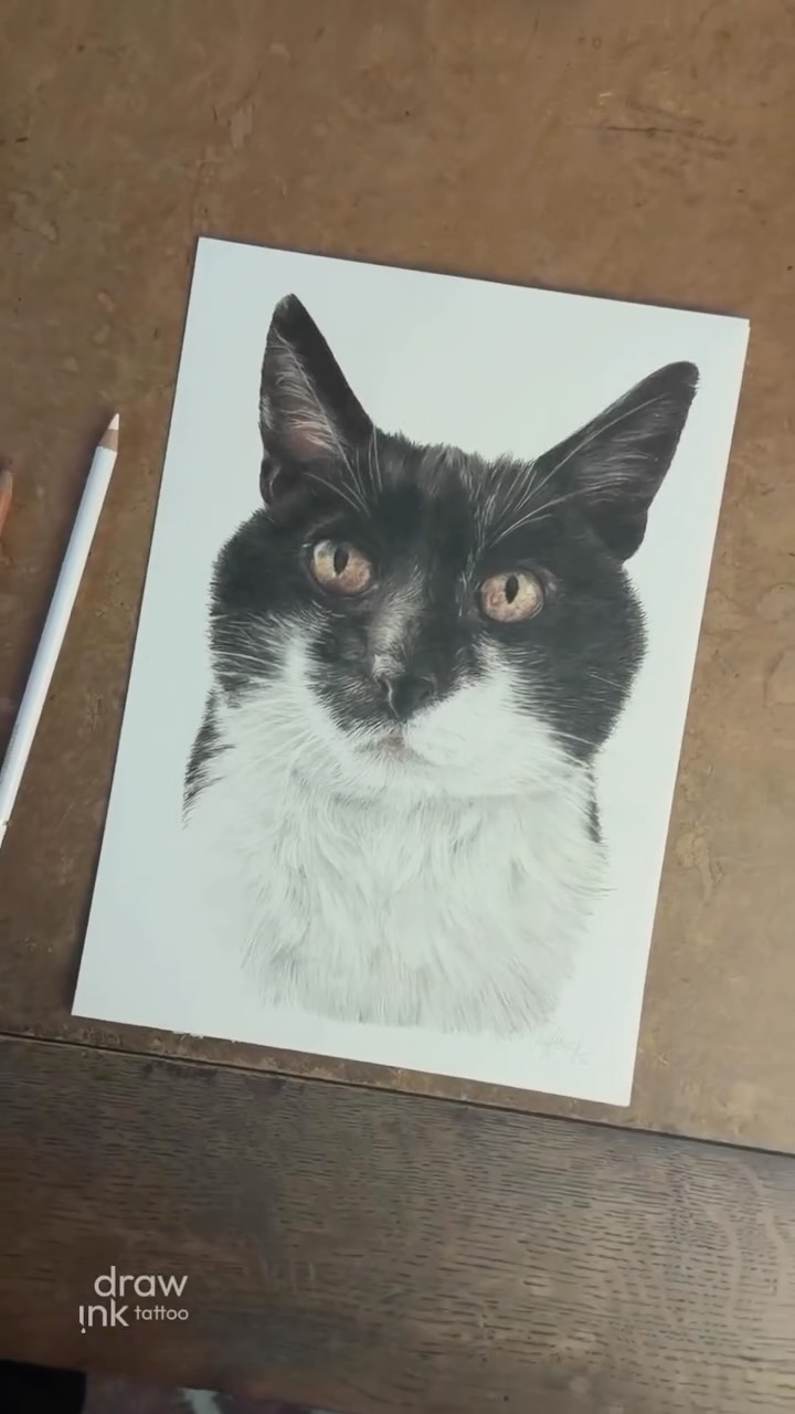art, but make it purr 🐈⬛🤍
#colouredpencildrawing #pencilart #animalartwork
