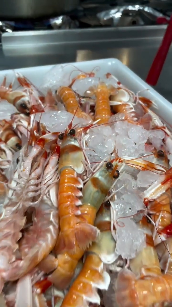 🥘🔥 Arroces a la brasa, a tu medida
En El Soto de Vulcano trabajamos nuestros arroces con el mismo respeto por el producto y el fuego que define nuestra cocina.
Además de las opciones presentes en carta, elaboramos cualquier arroz al gusto, siempre por encargo, adaptándonos a las preferencias de cada reserva.
Desde los más tradicionales hasta combinaciones especiales, creamos propuestas únicas pensadas para disfrutar y compartir.
El Soto de Vulcano 🔥
📍 Carril del Soto, 14. (Junto al paseo del Malecón)
📞 667 384 568 / 968 953 945
#ElSotoDeVulcano #Arroces #ArrozALaBrasa #CocinaDeProducto #MurciaGastronómica #ArrocesPorEncargo #Brasa #ReservaYa