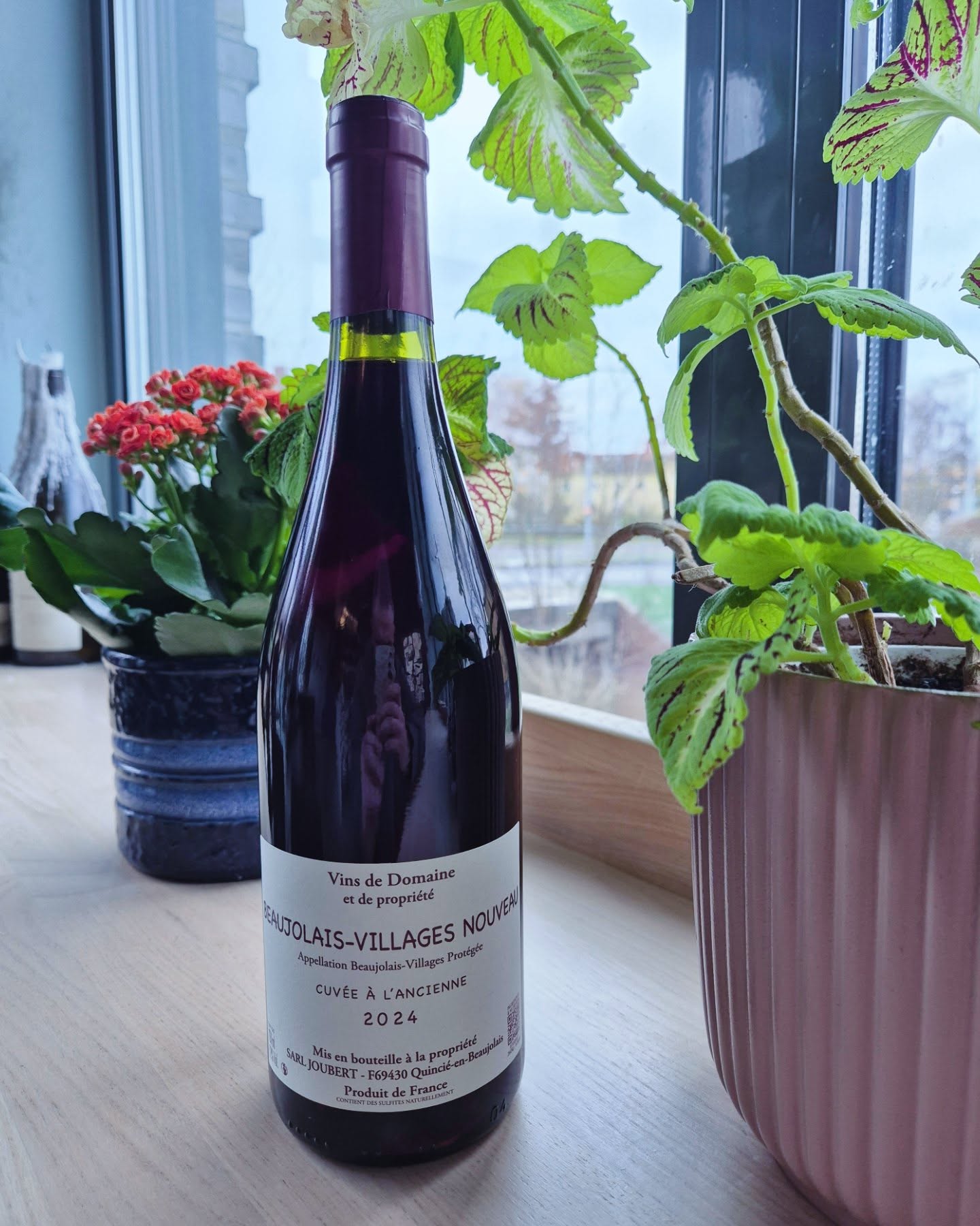 Beaujolais nouveau från kl.17,00!🍷
Välkomna att fira med oss!🎉
#beaujolaisnouveau
#göteborg