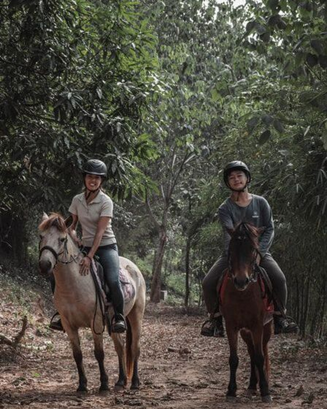 🐎 Une pépite encore méconnue au Laos
Et si vous faisiez du cheval... au Laos ?
À Luang Prabang, NamKhan Horses Stables propose une expérience vraiment différente : balades à cheval, immersion dans la nature, rencontre avec les chevaux Hmong, une race locale, et une approche éthique accessible à tous les niveaux.
✨ Et ce n’est pas tout : vous pouvez aussi dormir sur place dans de jolies yourtes de style mongol pour prolonger l’expérience dans un cadre nature vraiment atypique.
Une activité comme on les aime chez ORLA Tours : originale, immersive, et introuvable dans les circuits classiques.
👉 Lien pour créer votre voyage sur mesure : https://www.offroadlaosaventures.fr/creer-son-circuit-sur-mesure-laos
#Laos #LuangPrabang #ORTours #TravelLaos #HorseRiding #YurtStay #HiddenGem #AuthenticTravel #SlowTravel #UniqueExperience