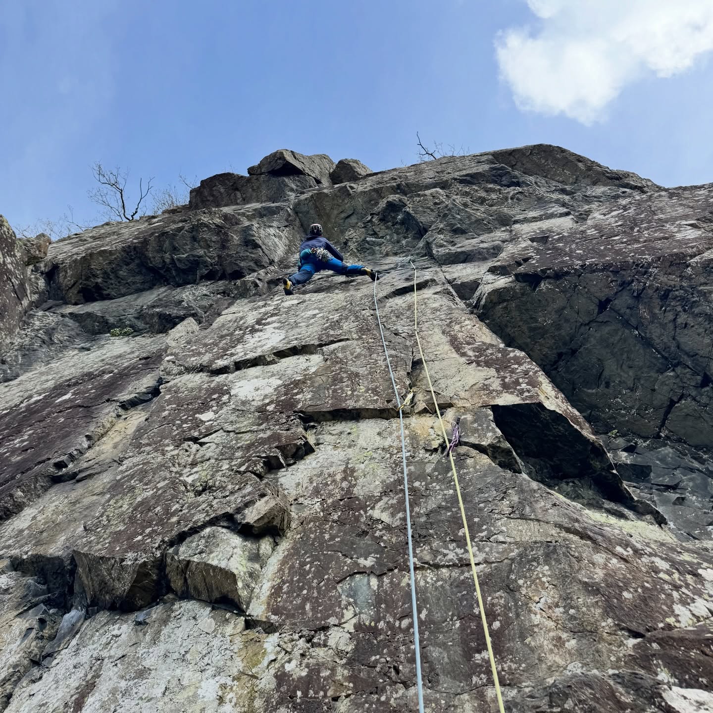 An array of ‘from the belayer’ type photos. Or bum shots to be precise. A good couple of days at Shepherds Crag this week with John on Wednesday and Tom today.
.
Routes climbed:
Fishers Folly VS 4c***
Delight Maker HVS 5a**
Adam VS 5a***
Eve VS 4c***
Creeping Jesus HVS 5a**
Kransic Crack Direct HVS 5a***
P.S E1 5b**
.
On Wednesday I didn’t commit to Creeping Jesus on the crux, so today I settled the score - it’s a bit run out but the gear is good once you commit… note to self: trust the grade!
.
It’s been a good start to the trad season!
.
@ami_professionals
.
#shepherdscrag #ukclimbing #borrowdale #lakedistrictclimbing #tradclimbing