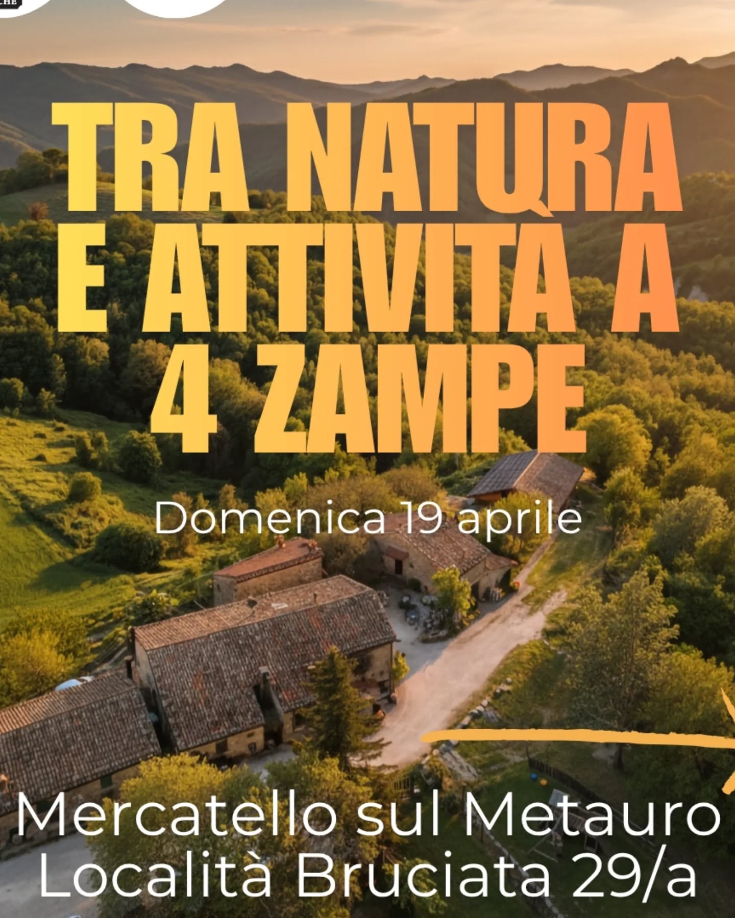 🌿 Una domenica che non dimenticherai.
Il 19 aprile porta il tuo cane in un posto speciale: la mattina scopri la Psicomotricità a 4 Zampe, il pomeriggio giochi cognitivi per stimolare la mente, un buon pranzo e tanta bella compagnia.
Un'esperienza diversa dal solito.
Per te. Per lui.
⏰ Mancano pochi giorni – prenotati subito!
📍 La Grotta dei Folletti – Mercatello sul Metauro, Loc. Bruciata 29/a
👉 Scrivimi in privato o su WhatsApp
393 2434772 per prenotare il tuo posto 🐕
#Psicomotricitàa4zampe #attivitàpercani #benesseredelcane #lagrottadeifolletti