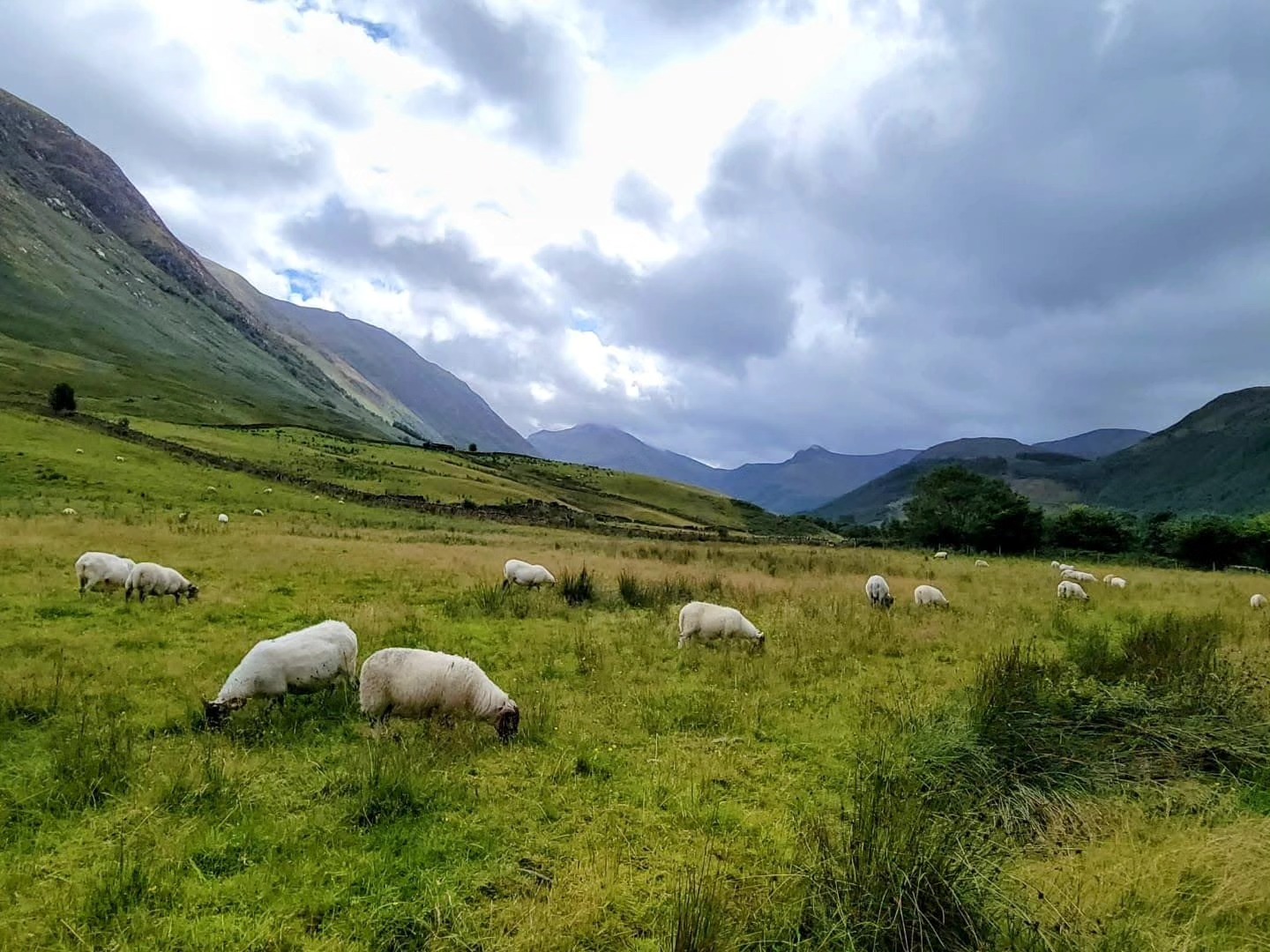 Thinking of visiting Scotland? Expect jaw-dropping landscapes, historic castles, and weather that keeps you on your toes. Read our latest blog post for tips, must-sees, and why you should always pack a rain coat. โ๐ฐ
.
.
.
.
.
#travel #twogirlsgetaway #travelblogger #scotland #scotlandtravel #Edinburgh #iamtb #wearetravelgirls #wonderful_places #sheisnotlost #traveladvisor #gltlove #girlswhotravel #glt