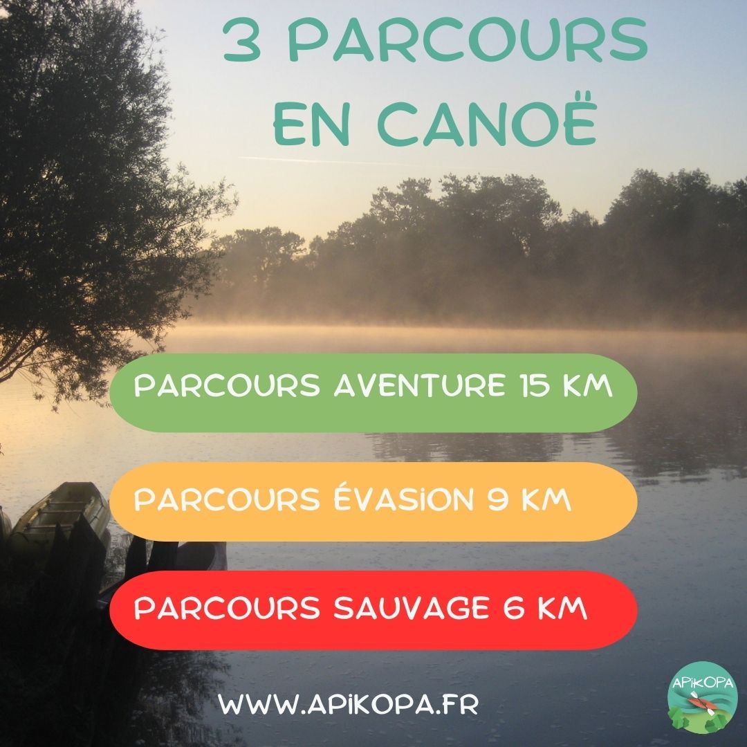 🚣♂️ Trois parcours en canoë au choix : des moments inoubliables sur le Loing ! 🌊
🌿Parcours Aventure : Partagez une aventure palpitante avec notre parcours de 15 km, offrant des paysages à couper le souffle, tout au long de la journée.
🌲Parcours Evasion : Optez pour une escapade plus douce avec notre parcours de 9 km, une balade tranquille de 2h30 pour savourer chaque instant au fil de l'eau.
✨Parcours Sauvage : Pour les amoureux de la nature, vous traverserez une des parties les plus calmes et les plus sauvages de la rivière avec notre parcours d'1h30, une expérience intense au cœur d’une nature préservée.
Quel que soit votre choix, chaque coup de pagaie sur le Loing promet des souvenirs impérissables !
Plus d’infos et réservation sur www.apikopa.fr
🛶 #LoingAdventure #ExplorationNature #CanoëLife #Loing #Canoë #Nature #Sérénité#CanoëSurLeLoing #famille #amis #détente #AventureSurLeLoing #Aventure #Convivialité #Bonheur #Complicité #Escapade #PaysagesMagnifiques #Rivière #Soleil #Déconnexion #BienÊtreEnPleinAir🛶
