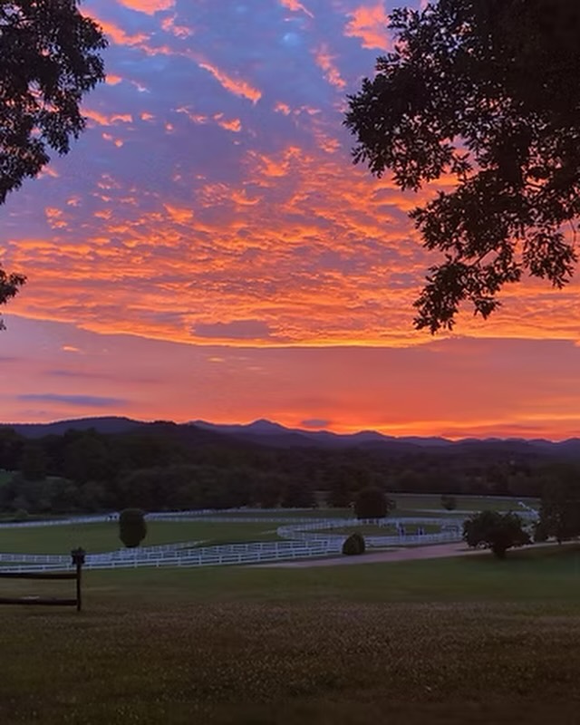 Join us on the ReConnect & ReStore retreat at the stunning Horse Shoe Farm in the beautiful Blue Ridge Mountains, North Carolina where you’ll experience deep rest in four days, guided by pianist and founder of Lie Down and Listen Christina McMaster
📆10-13 September
📍Horse Shoe Farm, Hendersonville, N.C
🛌Residential and Non residential options
🎟️🔗 Booking link in biog
Nestled in the heart of the ancient Blue Ridge Mountains, Horse Shoe Farm is the 85 acres of stunning nature which will be the container for peace, joy, community, connection and potential transformation.
In the year of the Horse, this is your moment to reconnect, restore your energy and reawaken your inner power and creative expression.
✨Experience the blissful sound healing and lying down classical concert, but deeper, longer and held within the supportive community, stunning surroundings, nourishing food at the farm to table Silo Restaurant and restorative nature in North Carolina.
When you’re immersed over several days the experience deepens and your nervous system unwinds and learns a new baseline for what deep rest is. You leave feeling restored, carrying a grounded stillness that stays with you long after you return home.
🛌Residential or Non Residential Options
You can join for the full three night residential experience or drop into the daily Lie Down and Listen sessions as a day visitor.
We can’t wait to welcome you!
🎟️ Booking link in biog
Or see www.liedownandlisten.com
#liedownandlisten #blueridgemountains #horseshoefarm