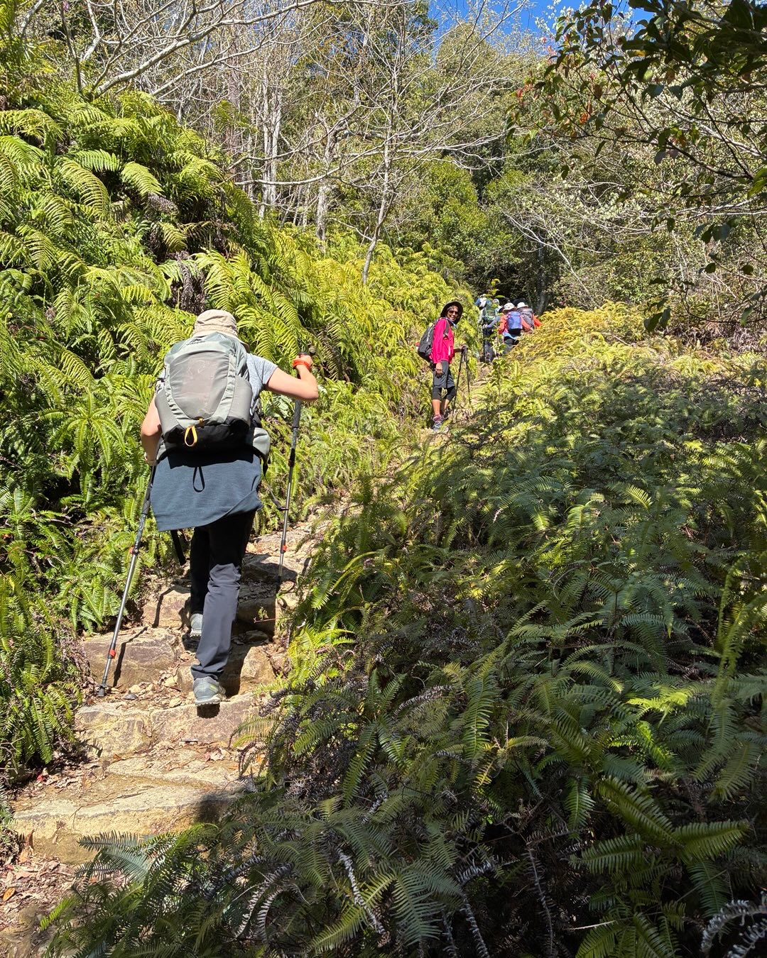 The Kogumotori-goe trail is a beautiful trail on the Kumano Kodo from Koguchi to Ukegawa. We had a bright sunny day yesterday so everything was just perfect!