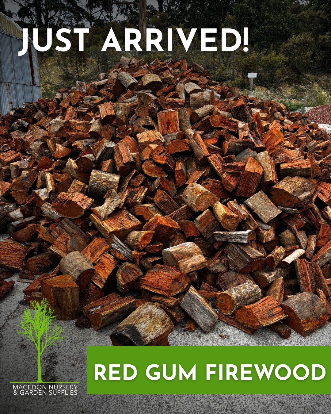 Red gum firewood just in at Macedon Nursery & Garden Supplies. If the last few days on the Mount have caught you short, now's the time to stock up. Available by the trailer load or we can deliver locally 7 days.
#macedonnursery #macedonranges #firewood
