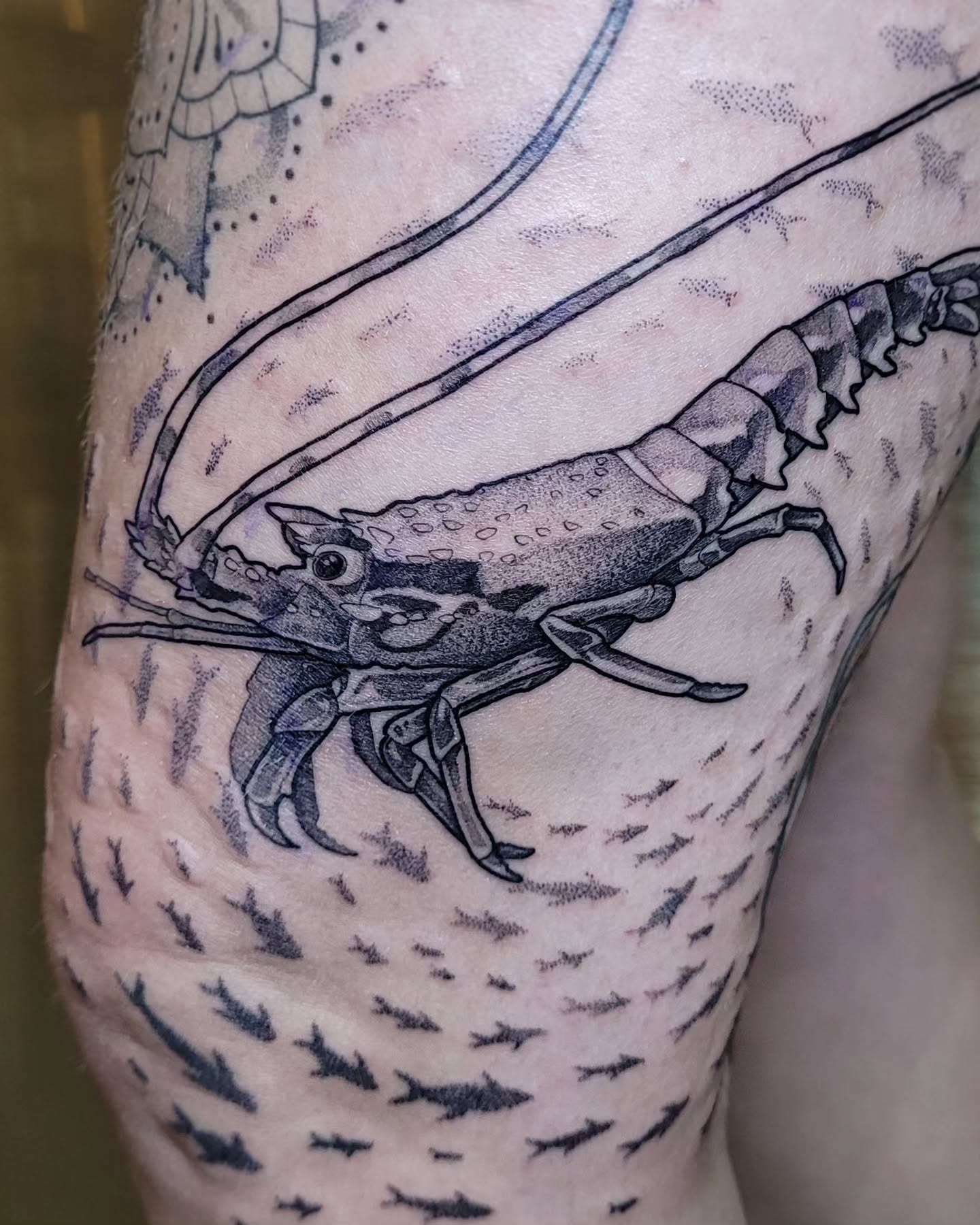 We are actually VERY close to finishing this marine and mandala leg sleeve now! Last session we knocked out this lobster framed with a silhouetted school of sardines. This has been such a rewarding process to bring everything together. It's probably easier to show off in small bites like this, but I'm looking forward to seeing the whole picture once we are done. Leg sleeves are a big undertaking!!
#legsleeve #tattoo #dotworktattoo #abbotsford #comoxvalley