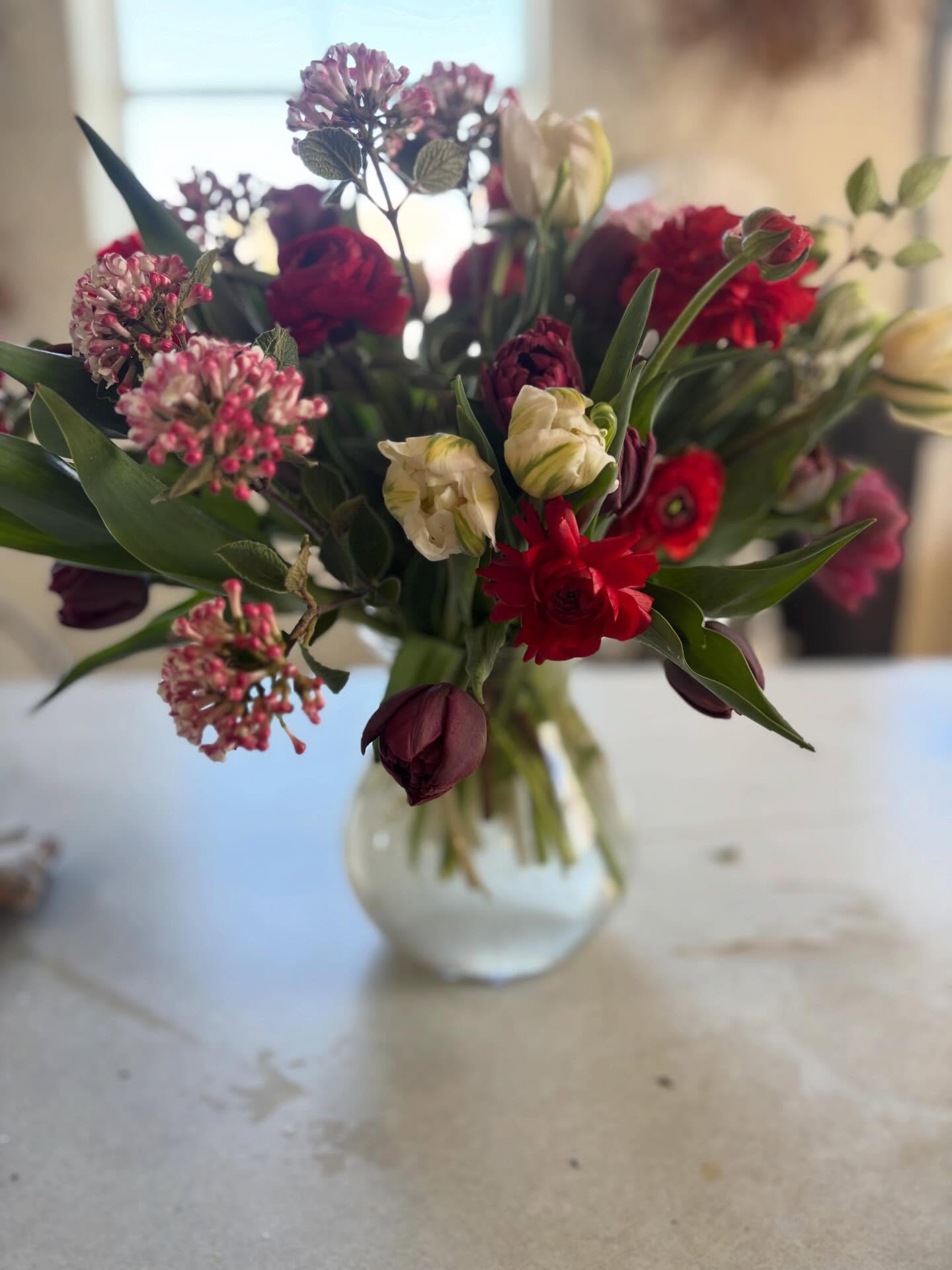 Heavenly Korean spice viburnum in its glory this week. I picked the whole bush yesterday, in anticipation of this morning’s 19 degrees.
Thinking on Portrait Mode, how it blurs the compost, dirty rags and chaos and tricks you into thinking my farm is in perfect order.