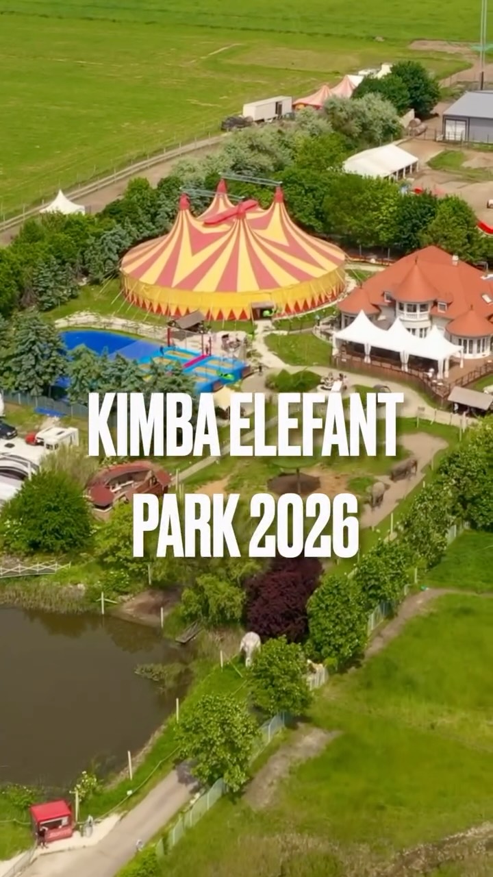 🐘✨ Élmény, varázslat és kaland – ez a Kimba Elefánt Park!
Fedezd fel Magyarország egyetlen elefántparkját, ahol minden nap új élmények várnak! 🌿
Látványos show-k, vidámparki hangulat, állatok közelsége és felejthetetlen pillanatok az egész családnak. 🎪🎡
🎥 Egy kis ízelítő abból, ami rád vár…
📍 Ne csak nézd – éld át személyesen!
Találkozunk a Kimba Parkban! 🐘💚