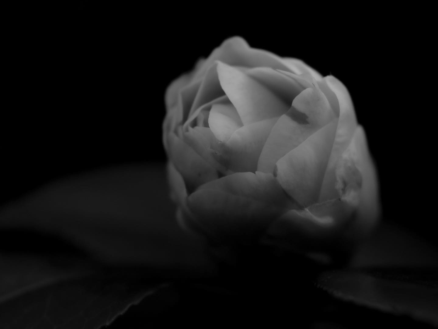 "If you pretend to be someone else, the people looking for you won't recognize you."