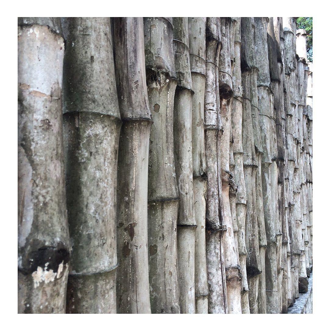 Bamboo Fences
.
Construction / Traditional Architecture
.
Bamboo is one of the fastest-growing plants in the world. Due to its rapid growth, low water consumption, and low afforestation period, it is considered one of the most sustainable materials. The bamboo's strength-to-weight ratio is similar to conventional timber, making it the best option for stronger fences.
Based on the requirement, fences can be made from whole bamboo or strips of cut bamboo. Bamboo fences can be customized to the need of the user; they can be functional, ornamental, or both. Bamboo fences are one of the least expensive options for making fences on a large scale.
Due to their versatile nature and long-lasting properties, they can withhold for a very long time without the need to replace them from time to time.
Photography @jeevanlxavier
.
.
EDA is a crowdsourced archive of Everyday design from the Indian Subcontinent.
Follow @everydaydesignarchive for more.
.
.
.
.
.
.
.
.
.
.
.
.
.
.
.
.
.
.
.
.
.
.
.
#design #everyday #dailyobjects #designerobjects #homemade #artisanal #craftsofindia #artistsofindia #designarchive #indiansubcontinent #india #productdesign #householdobject #everydaydesignobjects