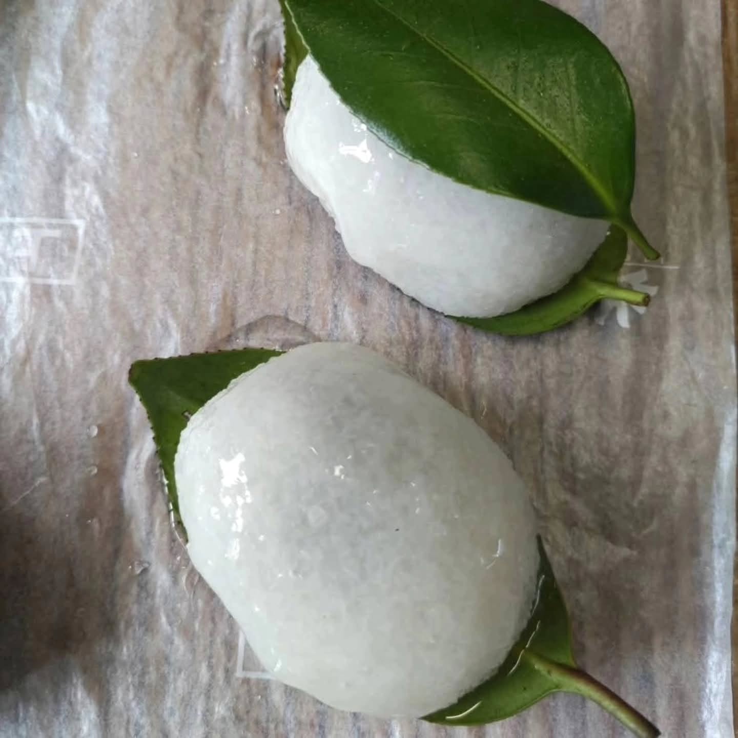 椿もち、はじめました。少し粒の食感が残る道明寺が、やさしくこし餡を包んでいます。見た目もかわいい和菓子です
#椿もち #和菓子 #おおくぼ菓子店 #角間川