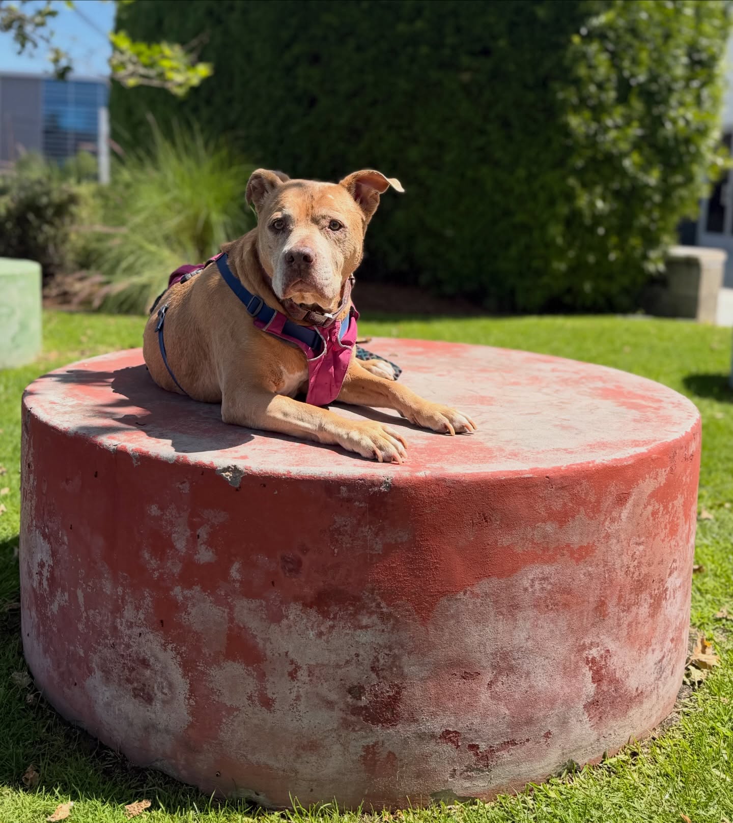 Still a model. The prettiest girl. 🧜🏼♀️