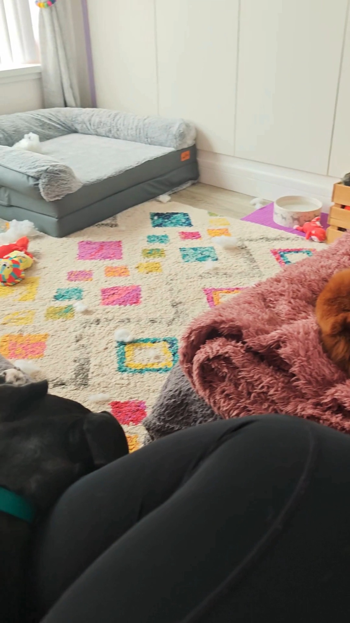 Woody, Poppy, Buzz and Kevin 💤
Our Hound Holidays are a true home away from home, so you can enjoy your holiday guilt free! 🐾🐶
More information and the enquiry form can be found on our website:
https://www.scallywagzpetservices.co.uk/houndholiday