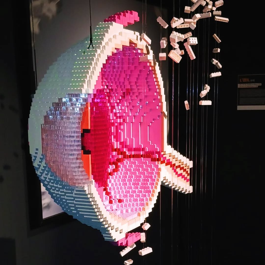 Oeil & Lego, exposition de Nathan Sawaya à Lille