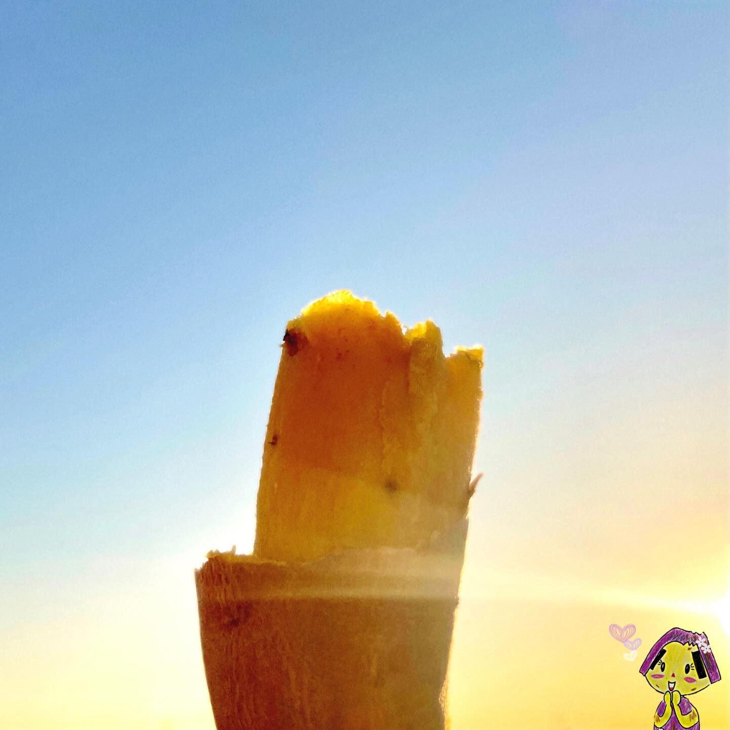 いもーにんぐ🌞
朝陽のスポットを浴びる、