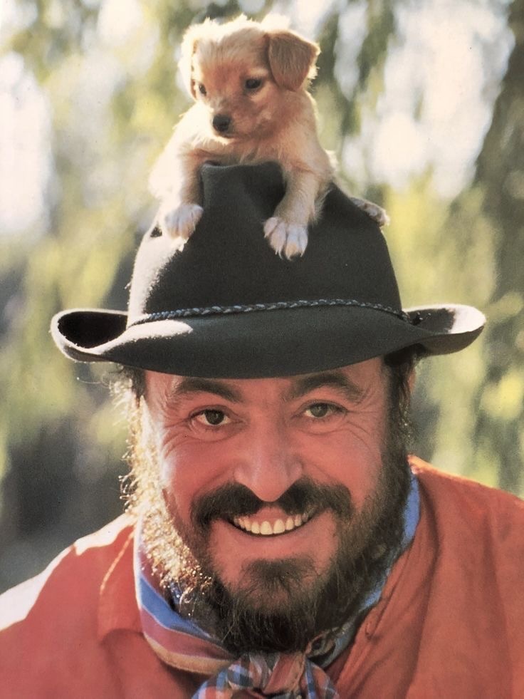 Opera singers and their furry friends 🐶
1. Luciano Pavarotti
2. Fritz Wunderlich
3. Rosa Ponselle
4. Luca Pisaroni
5-6. Ettore Bastianini
7. Birgit Nilsson
8. Renata Tebaldi
9. Franco Corelli
10. Maria Callas
11. Alice Nielsen
12. Bruna Castagna
13. Renata Scotto
#operasingerlifestyle
#operasinger