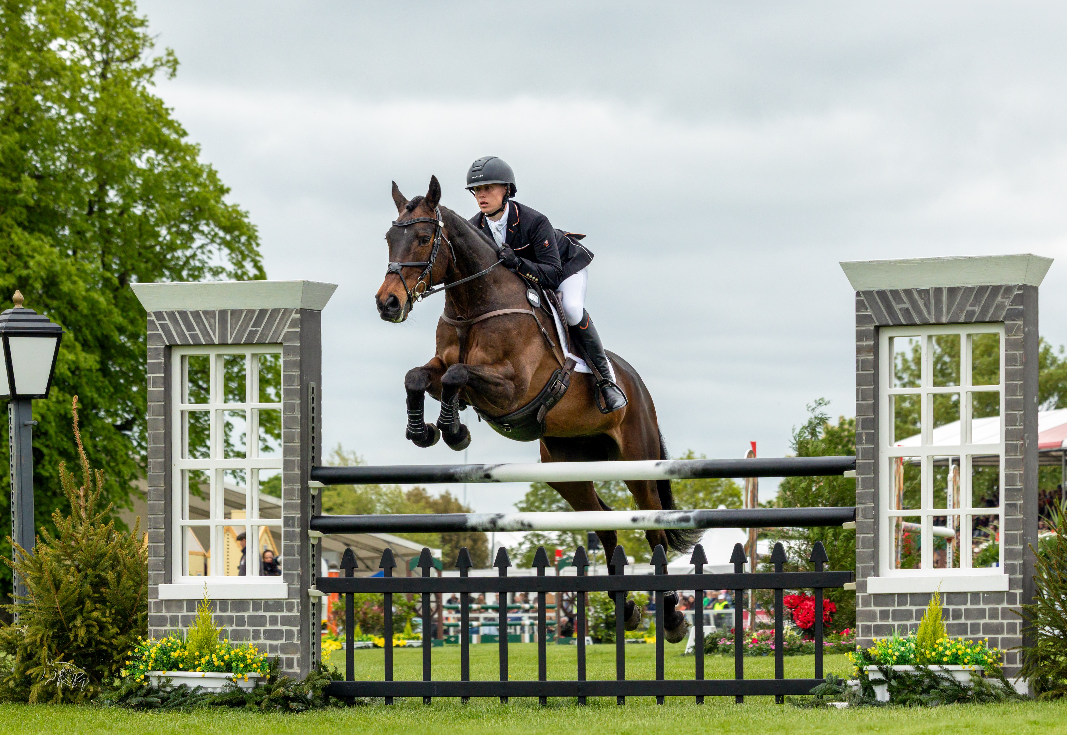 A huge congratulations to Wolf London Brand Ambassador @tom_bird_eventing_ and on completing his second @bhorsetrials! 🐎👏
An incredible achievement for Tom and 'Jasper' at one of the toughest and most prestigious events in the world of eventing - and a week we’ve loved following from start to finish. 🐺
📸: @kirsty_pasto
#WolfLondon #WolfEquestrian #BadmintonHorseTrials #JoinThePack #EventingLife