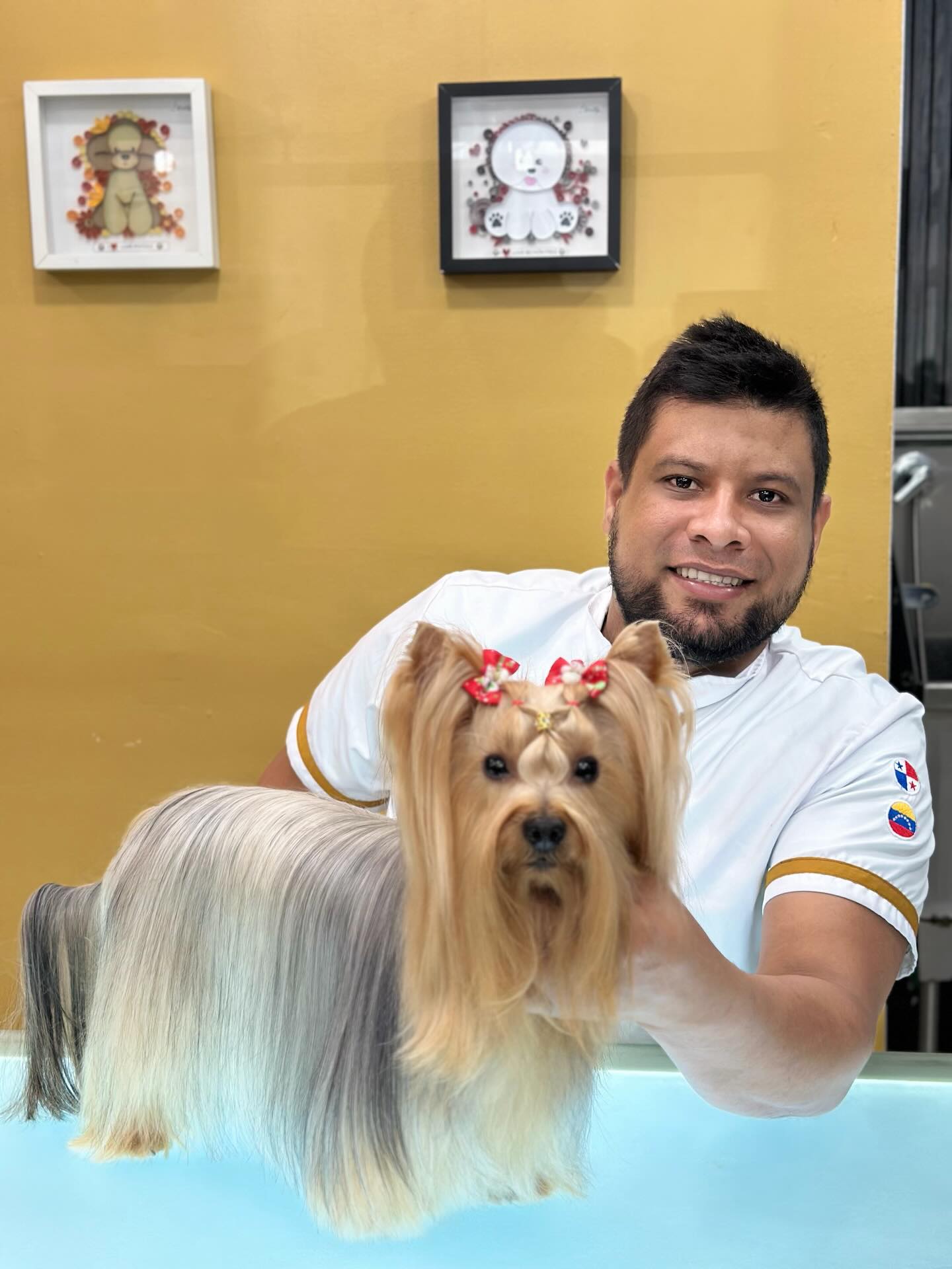 Cada mascota que entra a Studio Grooming recibe más que un servicio… recibe experiencia, cuidado y técnica profesional. ✂️🐾
Aquí no improvisamos. Trabajamos con conocimiento, detalle y amor por lo que hacemos, para que tu mascota luzca y se sienta increíble.
💎 Baño y corte profesional
💎 Desenredo y control de nudos
💎 Tratamientos especiales para el pelaje
💎 Atención personalizada
Agenda tu cupo hoy mismo 👇
🌐 www.studiogroomingpanama.com