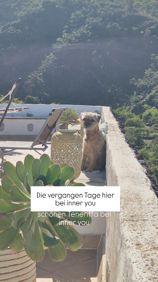 In den letzten Tagen haben wir viel im Garten gearbeitet. Und somit konnten viele Dinge von unserer langen to-do Liste für unser Retreat nächste Woche streichen.
Wir haben auch Monika @oszetzky.monika getroffen - sie unser Detox Retreat mit wohltuenden Yoga Einheiten begleiten. Als ganzheitliche Gesundheitscoachin für Frauen wird sie auch in diesem Bereich unsere Teilnehmerinnen unterstützen.
Die Pilatesstunde bei Tilom @tilom_patel in Playa San Juan hat mir wirklich sehr viel Spaß gemacht. Er hatte begleitend zu der Stunde auch ganz besondere Öle dabei, die er immer wieder an uns verteilt hat. Das war super schön! Tilom wird auch während des Detox Retreats unsere Teilnehmerinnen mit einer tollen Ayuveda Massage verwöhnen und somit den Entgiftungsprozess unterstützen.
Die Cacao Zeremonie mit Yin-Yoga bei Eva @yogatenerifewithevan am Strand in El Medano hat mit sehr gut gefallen und hat viele Emotionen ausgelöst.
Eva ist übrigens auch die Yogalehrerin bei unserem Mindful Food & Yoga Retreat am 25.04 bis 30.04.2026.
Darauf freue ich mich schon sehr!
#yogaretreatteneriffa #Selbstliebe #solotravel