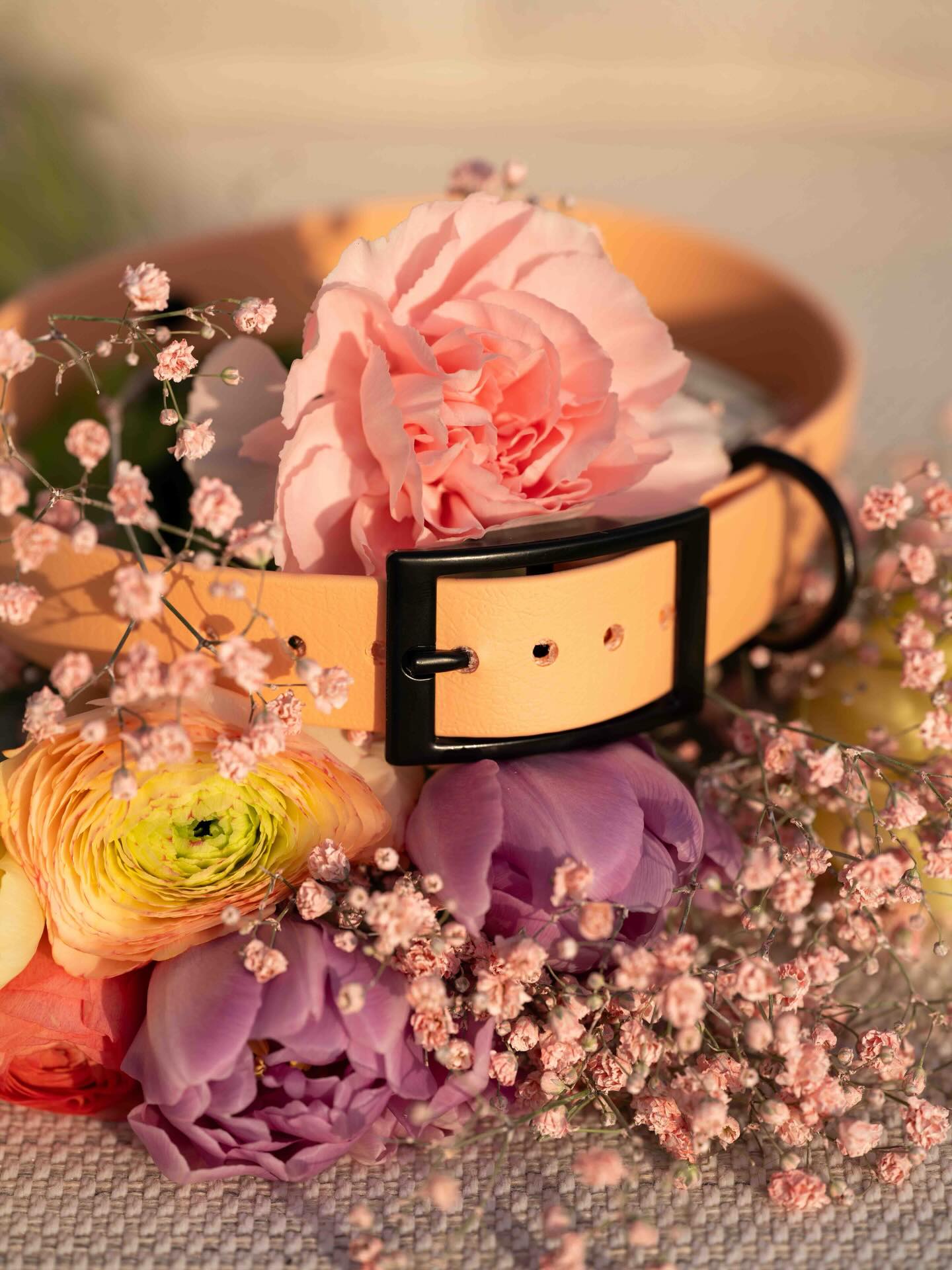 Dream Collection 💐💖
Unsere Dream Collection verzaubert mit vier sanften Pastelltönen, die Frühlingsfrische und Leichtigkeit ausstrahlen. Sanft und voller Lebensfreude fangen sie das Gefühl von Freude und Neuanfang ein. Diese Halsbänder sind mehr als ein Accessoire – sie sind ein Frühlingsgruss für stilbewusste Hundehalter und ihre treuen Gefährten.
Diese Halsbänder und vieles mehr findest du jetzt auf veryimportantdog.ch 🐾
#veryimportantdog #vid #dogwear #handmade #biothane