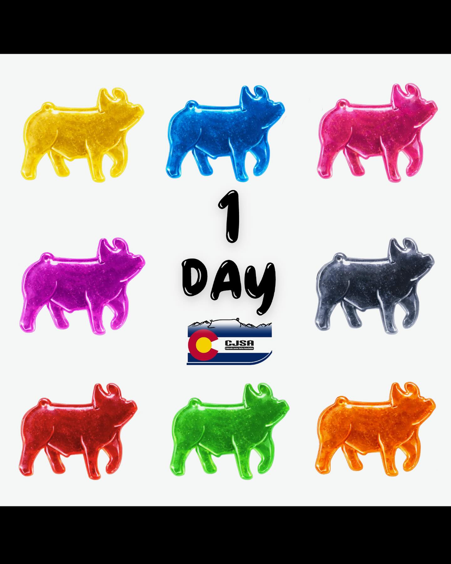 Only one more day until show season begins! See you all there!