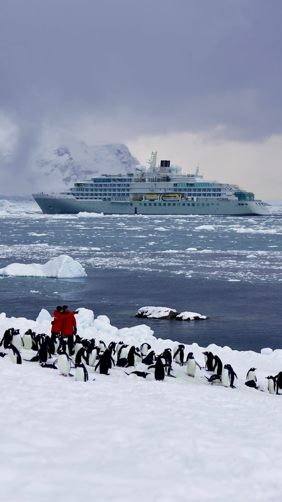 Home starts to look different after enough time out in the world. Sometimes it’s snow underfoot, silence all around, and penguins just a few steps away.
#CuzzinzNemTravel #CreatingMemoriesThroughTravel #getpaidtobooktravel #1sttimetravelerswanted #travelingonabudget