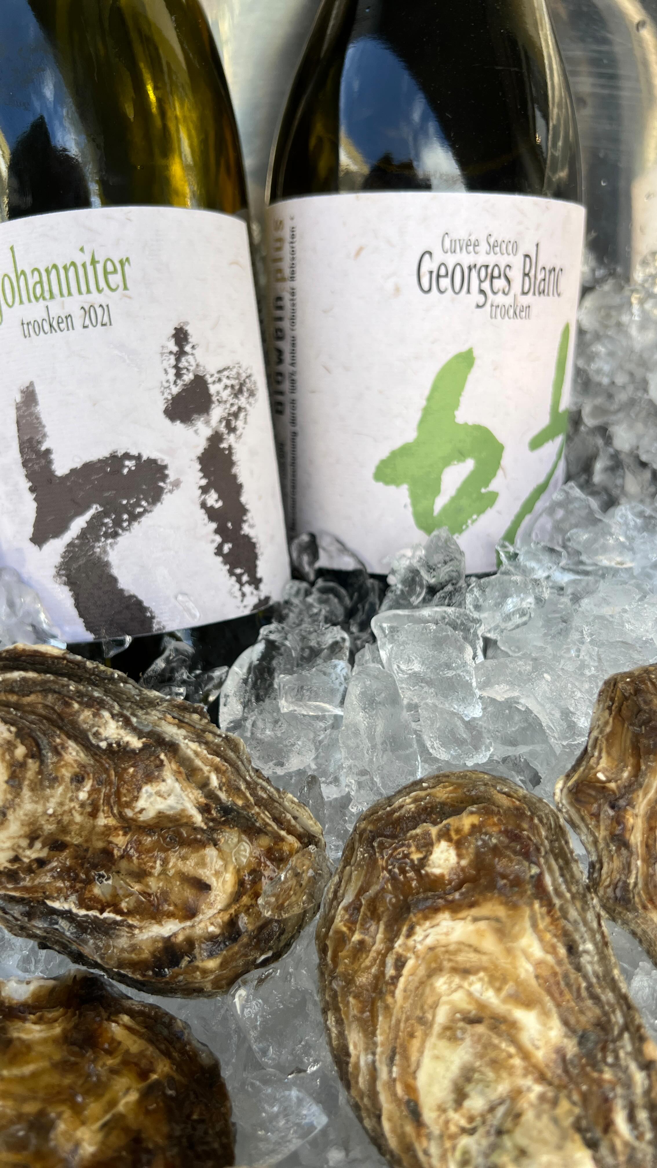 Super Match beim ersten Kirschblütenfest im Weingut Andreas Dilger zusammen mit den Austernbrüder. 🦪
Entspannte Atmosphäre, richtig gute Kombis auf dem Teller und Weine, die einfach perfekt dazu gepasst haben.