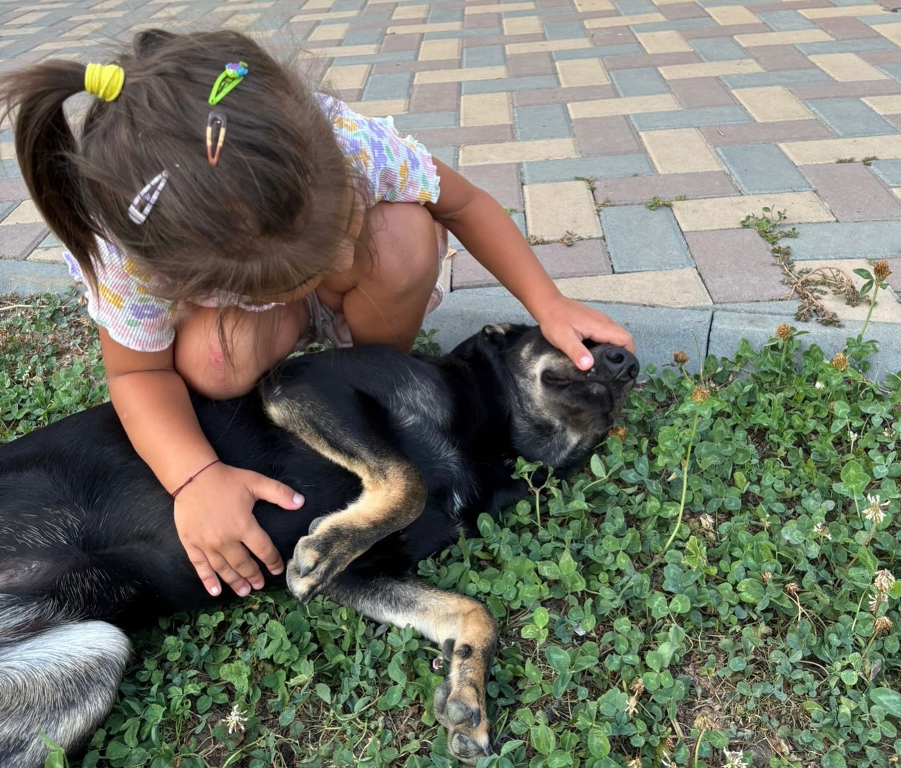 Ein Tierschutzhund mit Kindern?
Das würde ich mich ja nicht trauen…
Diesen Satz hören wir immer wieder.
Und dann sehen wir solche Momente:
Kind & Hund rennen, spielen, lachen – völlig selbstverständlich miteinander.
Keine Angst. Kein Misstrauen.
Nur Freude, Vertrauen und eine tiefe Freundschaft zwischen Kind und Hund.
Vielleicht sollten wir nicht immer fragen:
„Kann man einem Tierschutzhund vertrauen?“
Sondern eher:
Warum sollten diese Hunde nicht die Chance auf genau so ein Leben bekommen?
Kinder lernen mit Hunden Verantwortung, Respekt und Mitgefühl.
Und Hunde lernen, dass Menschen auch Liebe und Sicherheit bedeuten können.
So sollten Kinder groß werden. Und so sollten Hunde leben – mittendrin im Leben, als Teil der Familie.