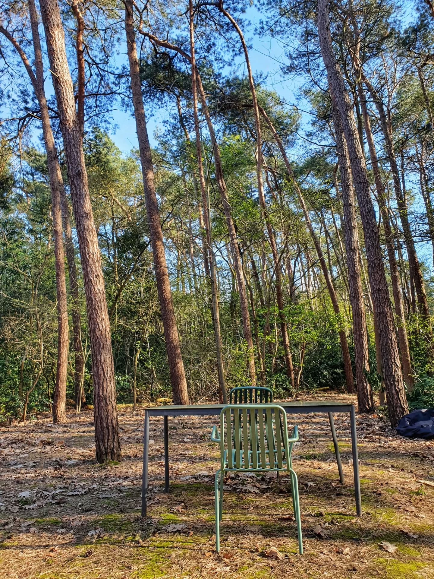 In oktober 2023 startten we met de bouw van ons boshuis. Een klein jaar later verhuisden we, hoogzwanger, naar een huis dat nog niet klaar was. Met de komst van Luiz bleven er ook klusjes liggen. En soms word ik er onrustig van. Of betrap ik mezelf erop dat ik 'meer' wil: hadden we misschien toch niet een groter huis moeten bouwen nu we een kindje hebben. Of: we moeten dringend een nieuwe tuintafel kopen ipv het oude Ikea-bureau dat we ooit kregen en waarvan de poten in alle mogelijke hoeken staan behalve 90°, maar dat sindsdien toch al verschillende jaren meegaat als tuintafel. Of een zalige, nieuwe loungeset voor in de tuin. Een mooi kastanjehek voor voor het huis, ...
Maar op een dag als vandaag, als ik in de tuin zit met Luiz die alles ontdekt in het bos en we een mini-picknick houden op de 'stoelen' (boomstronken) die hij leuk vindt, dan besef ik:
Het is vaak, aan die gammele tafel of simpele boomstronk, dat we in alle eenvoud in het groen op ons gelukkigste zijn. 💛