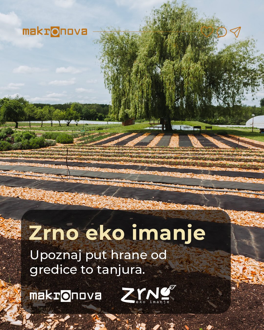 Kako izgleda mjesto iz kojeg dolaze neke od najkvalitetnijih ekoloških namirnica u Hrvatskoj? 🌿
U subotu, 20.6.2026. od 10 do 15 sati, održava se posjet Zrno eko imanju — najstarijem ekološkom imanju u Hrvatskoj, smještenom u selu Habjanovac.
Ovo je prilika da iz prve ruke doživiš svijet ekološkog uzgoja, upoznaš proces proizvodnje i provedeš dan u prirodi, među namirnicama koje dolaze iz zemlje, ritma sezone i predanog rada.
Tijekom posjeta očekuje te:
• obilazak imanja uz stručno vodstvo
• upoznavanje s osnovama ekološkog i biointenzivnog uzgoja
• pogled u proces proizvodnje poznatog Zrno kruha
• mogućnost kupnje dostupnog ekološkog voća, povrća i kruha po prigodnim cijenama
• cjeloviti veganski ručak od ekoloških, svježih i cjelovitih namirnica
Program uključuje vodstvo Davida Pejića, direktora Zrno eko-imanja, i Ksenije Piršljin, voditeljice ekološkog uzgoja na imanju.
• 20.6.2026. | 10–15 sati
• Zrno eko imanje, Habjanovac
• 39 € odrasli
• Prijava je obavezna: info@makronova.com
Provedi dan u prirodi, nauči više o ekološkom uzgoju i osjeti povezanost hrane, zemlje i zdravlja. 🌱
Više informacija:
https://www.makronova.com/posjet-zrno-eko-imanju
#Makronova #ZrnoEkoImanje #EkološkiUzgoj #EkoImanje #EkološkaPoljoprivreda