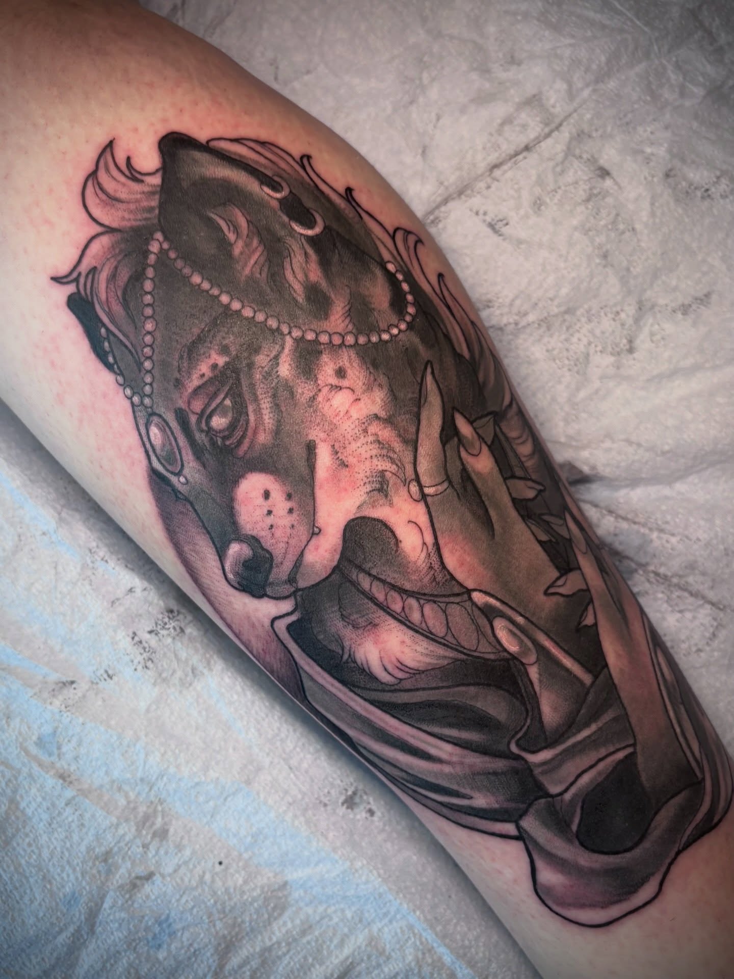 Finally got to do this Hyena predrawn!
#tattoo #flashtattoo #hyenatatoo #girlswhotattoo #naturetattoo