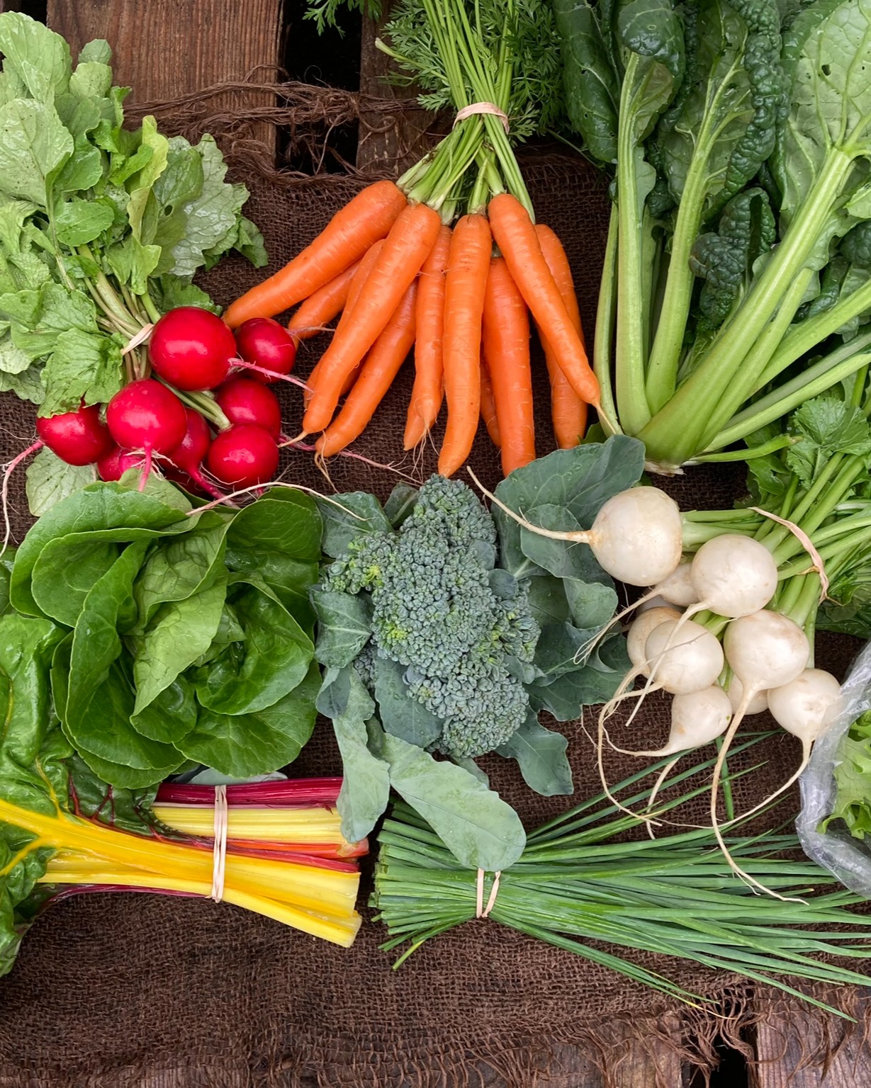 What pairs well with fresh veggies?...
A freshly poured pint of your favorite beer from @liarsbenchbeer!
Get both when you sign up to pick up your weekly Wild Fern Farm CSA share at Liar's Bench Brewery in Portsmouth.
Pick ups will be Wesnedays, 3pm-7pm, starting May 28th.
🌱20 weeks of fresh organic veggies grown in Kingston, NH.
🍻CSA members get a 10% discount off of beer and food on Wednesdays
See link in bio for more info @wild_fern_farm_nh
#nhagriculture #freshveggiesarebest #eatwiththeseasons #beerandveggiesgotogether