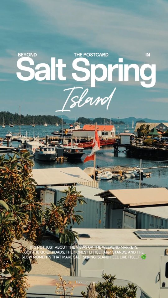 Salt Spring is best done slow — a few good places, no real rush, and letting the day unfold a bit on its own.
✨ Stay somewhere like Quarrystone, where mornings feel a little softer and you’re in no hurry to leave.
✨ Head out to Sacred Mountain Lavender while the light is still gentle.
✨ Then ease into the Saturday Market and just wander without a plan.
✨ Let the afternoon drift toward Vesuvius Beach — it’s the kind of place you think will be a quick stop, but rarely is.
✨ And if you’re near Salt Spring Cider, go for a tasting… it usually turns into staying longer than expected.
✨ If you can, book dinner at Hastings House to end the day. It’s one of those places that quietly pulls everything together.
✨ Somewhere between stops, you’ll pass tucked-away ceramic and pottery studios that feel more like discoveries than destinations — the kind of places you almost want to keep to yourself.
Save this for your next island weekend 🔖