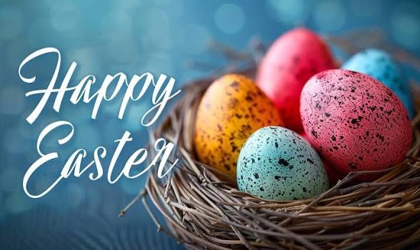 🐣🌸 Happy Easter! 🌸🐣
Wishing all our members, families, and supporters at Kyneton District Soccer Club a very Happy Easter!
May your day be filled with joy, laughter, and plenty of chocolate 🍫🐰. Thank you for being such an important part of our club community — we appreciate your ongoing support both on and off the field.
Enjoy the break and we look forward to seeing you all back soon! ⚽💛
#HappyEaster #KDSC #Community