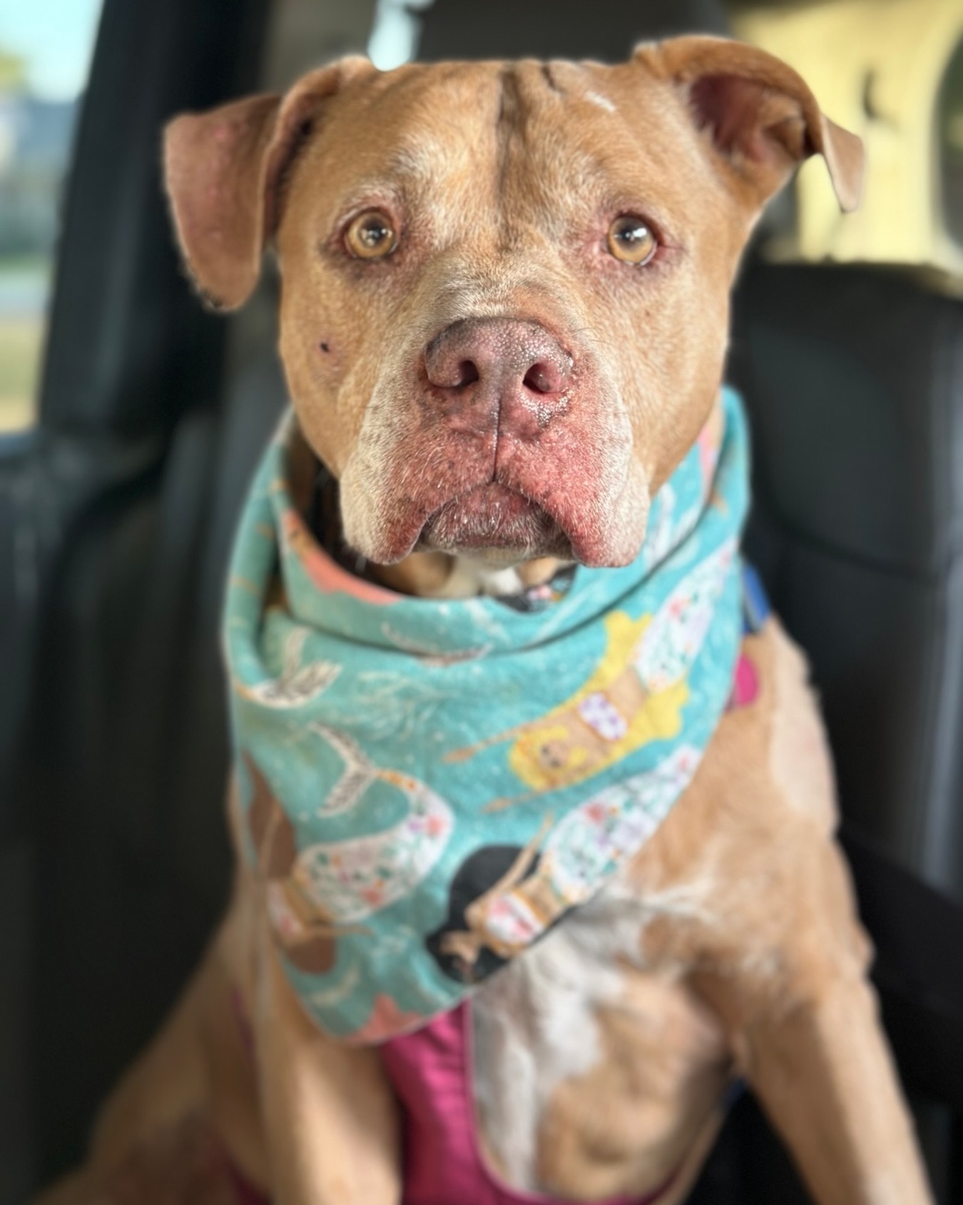 Always up for an adventure. 🧜🏼♀️💜 Miss Ginger