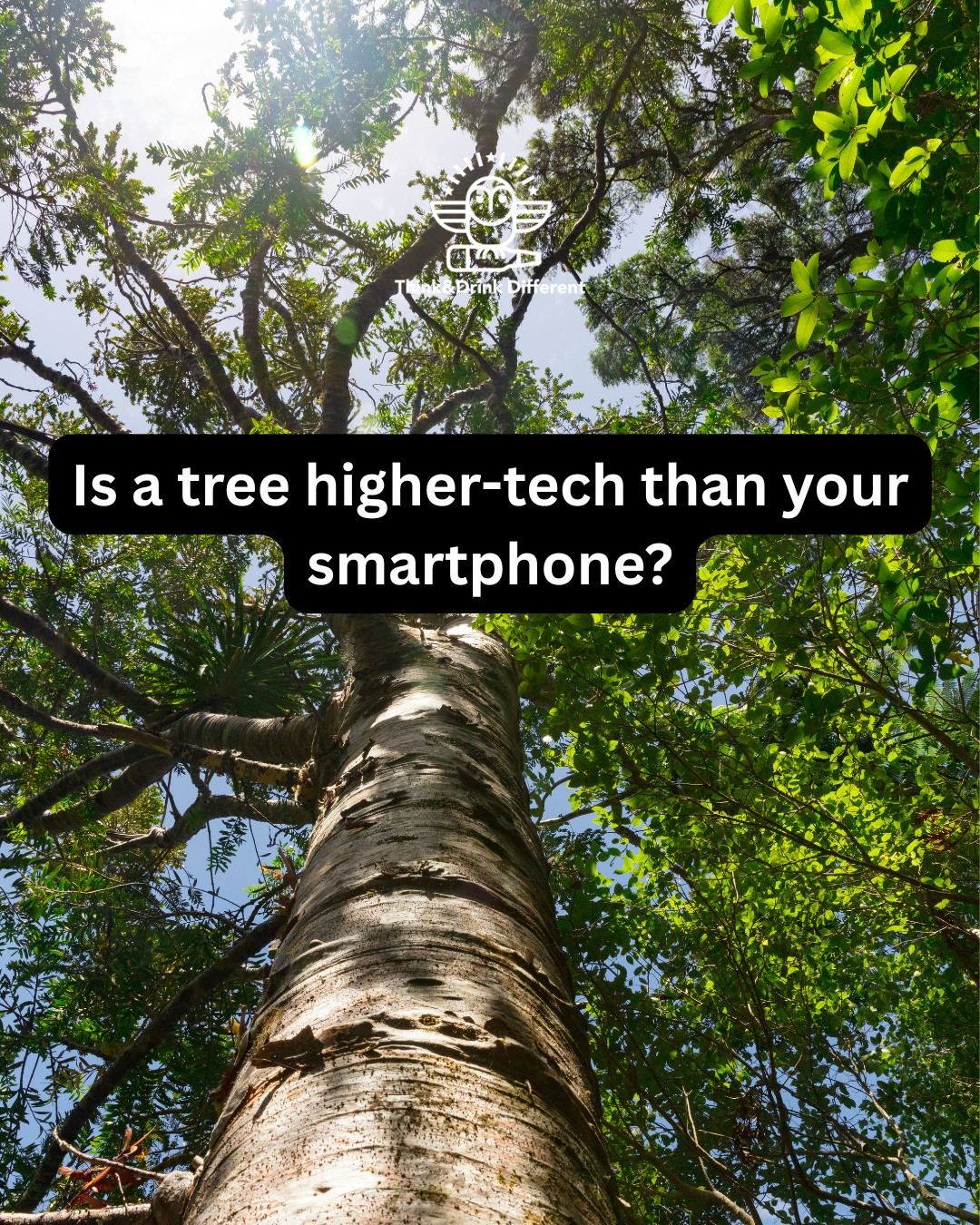 Is a tree just a landscape feature, or is it a high-performance cooling system?
We think of technology as silicon and wires, but the urban canopy is the most sophisticated infrastructure we have for social equity and environmental health. We examine a deeper paradigm shift: moving from merely "controlling" nature to designing cities that adapt and regenerate.
On April 11 night, we explore how precision data turns the "green" parts of our city into a regenerative engine.
If you could redesign one block in your neighborhood, what would you change first? Let’s debate it over a glass of wine.
Final few seats available. Tickets via Link in Bio