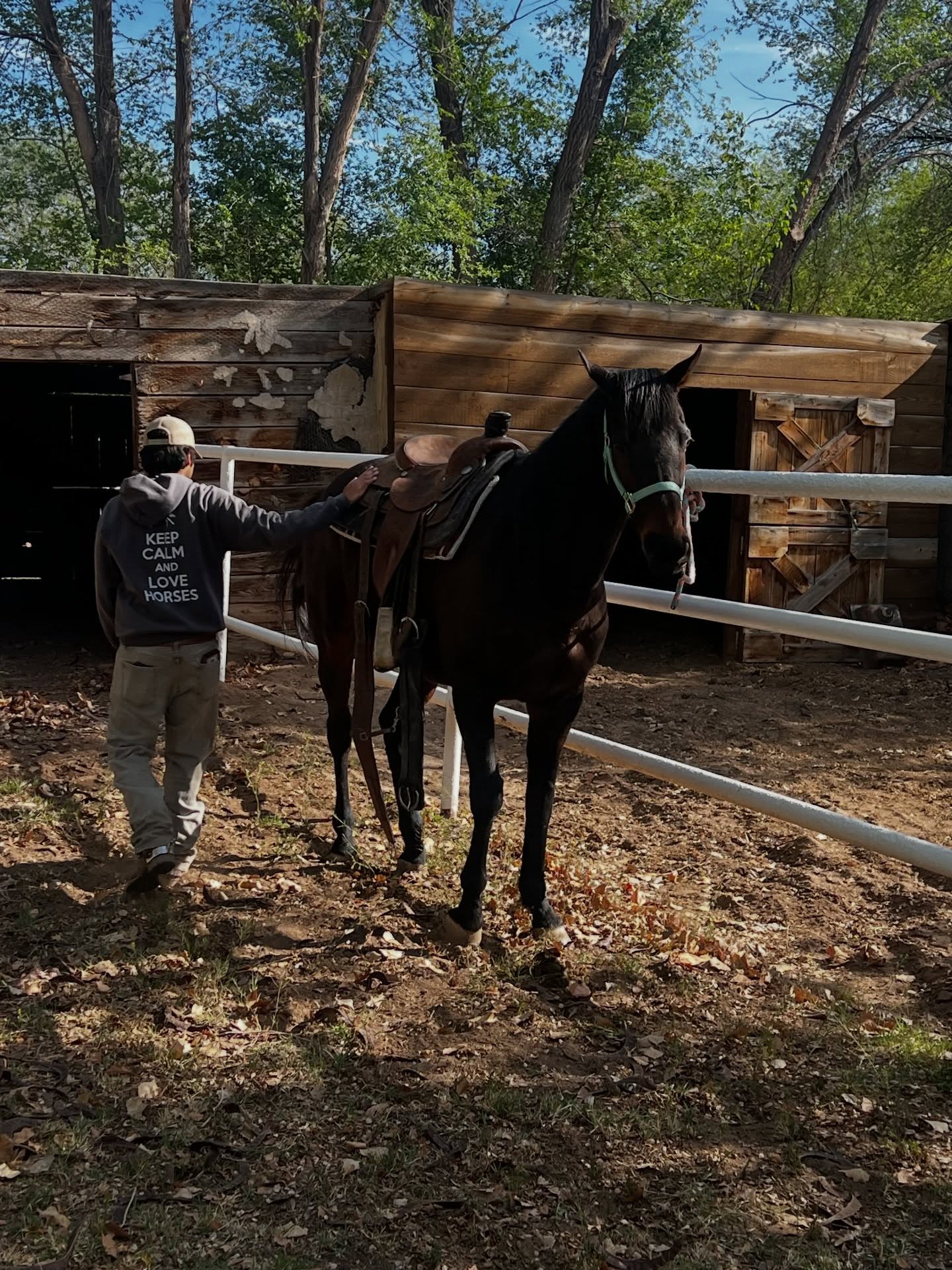 Have you met Dagger? He’s a beautiful off the track thoroughbred. Many of you may not know Carl and Donna Londene - the founders of the beautiful property of Red Horse Bed and breakfast, ethically raised, and trained thoroughbred race horses for many many years. Their love for animals, art, community and making the world a better place is passed down through their children and their grandchildren.
We are super grateful to Karnan, the Trainer, for bringing dagger back up to speed and reworking him into a pleasure writing Horse. I can’t wait to see where this journey takes us!
#OTTTB #Albuquerque #5O5 #NewMexicoEquine #RetiredRacehorse